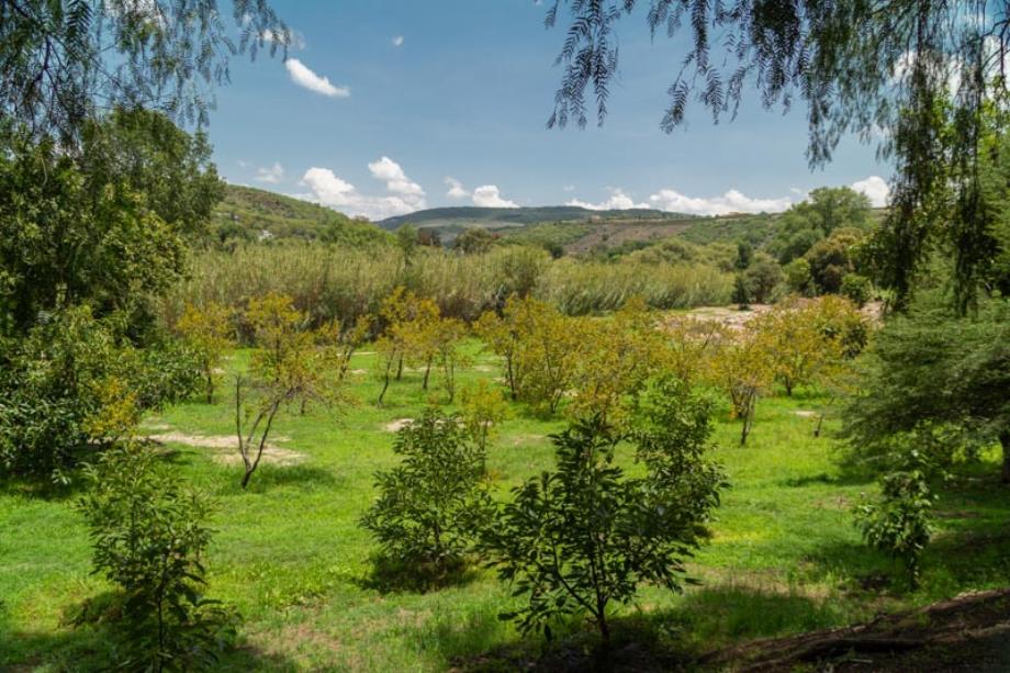 Los Remedios, Comonfort, Guanajuato, 38204, Mexico, 1 Bedroom Bedrooms, ,Residential,For Sale,Los Remedios,1627766