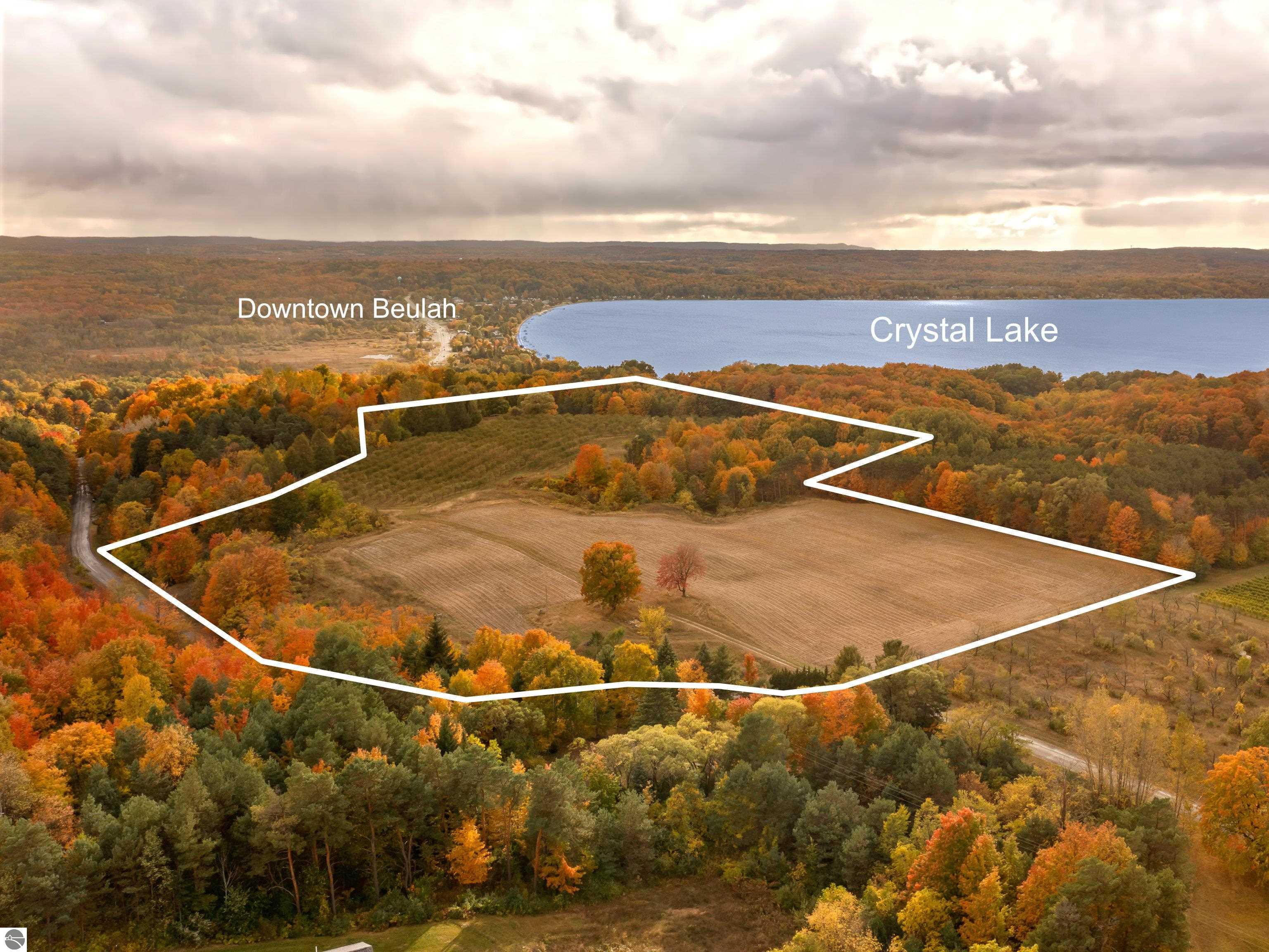 Beulah, Michigan, 49617, United States, ,Land,For Sale,1938552
