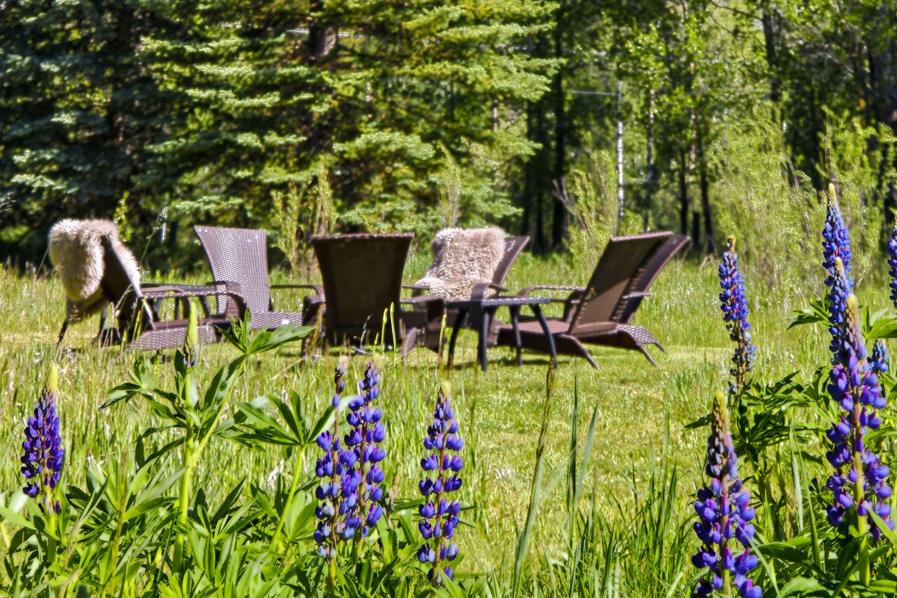  Trapper Lodge on Fish Creek - 物件實景