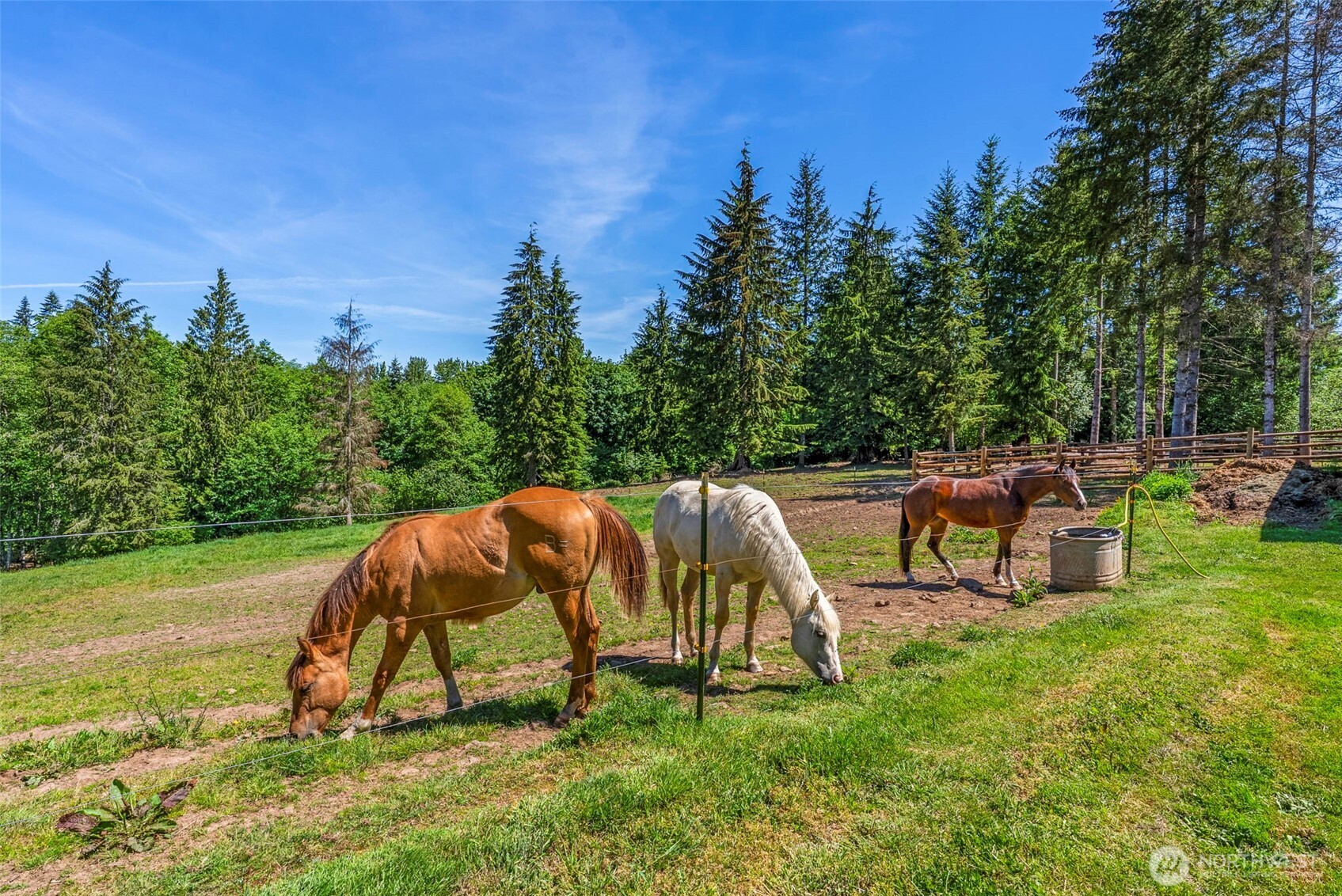 Castle Rock, Washington, 98611, United States, 3 Bedrooms Bedrooms, ,3 BathroomsBathrooms,Residential,For Sale,1836811