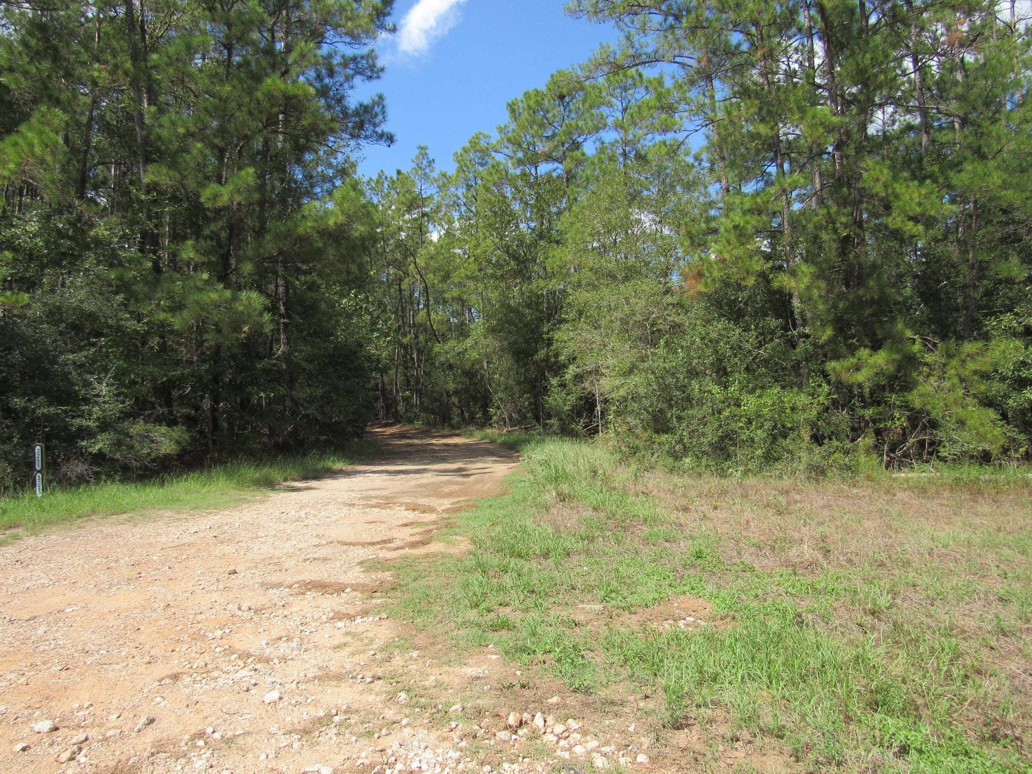 Crysel Rd, Cleveland, TX 77328 #1