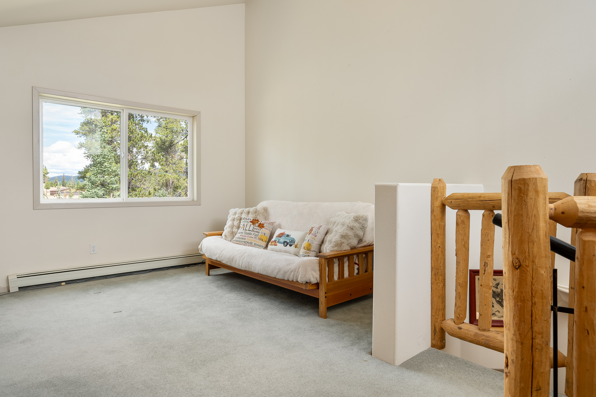  753 Mulligan, Fraser, CO, 80442 - 物件實景