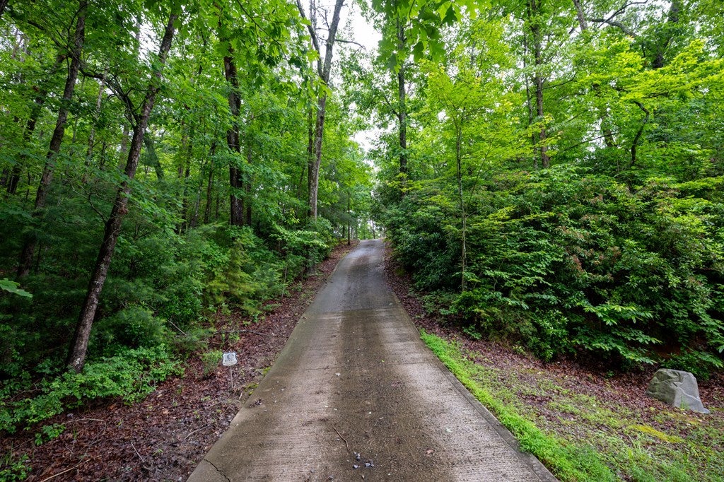 Ellijay, Georgia, 30540, United States, 3 Bedrooms Bedrooms, ,3 BathroomsBathrooms,Residential,For Sale,1999878