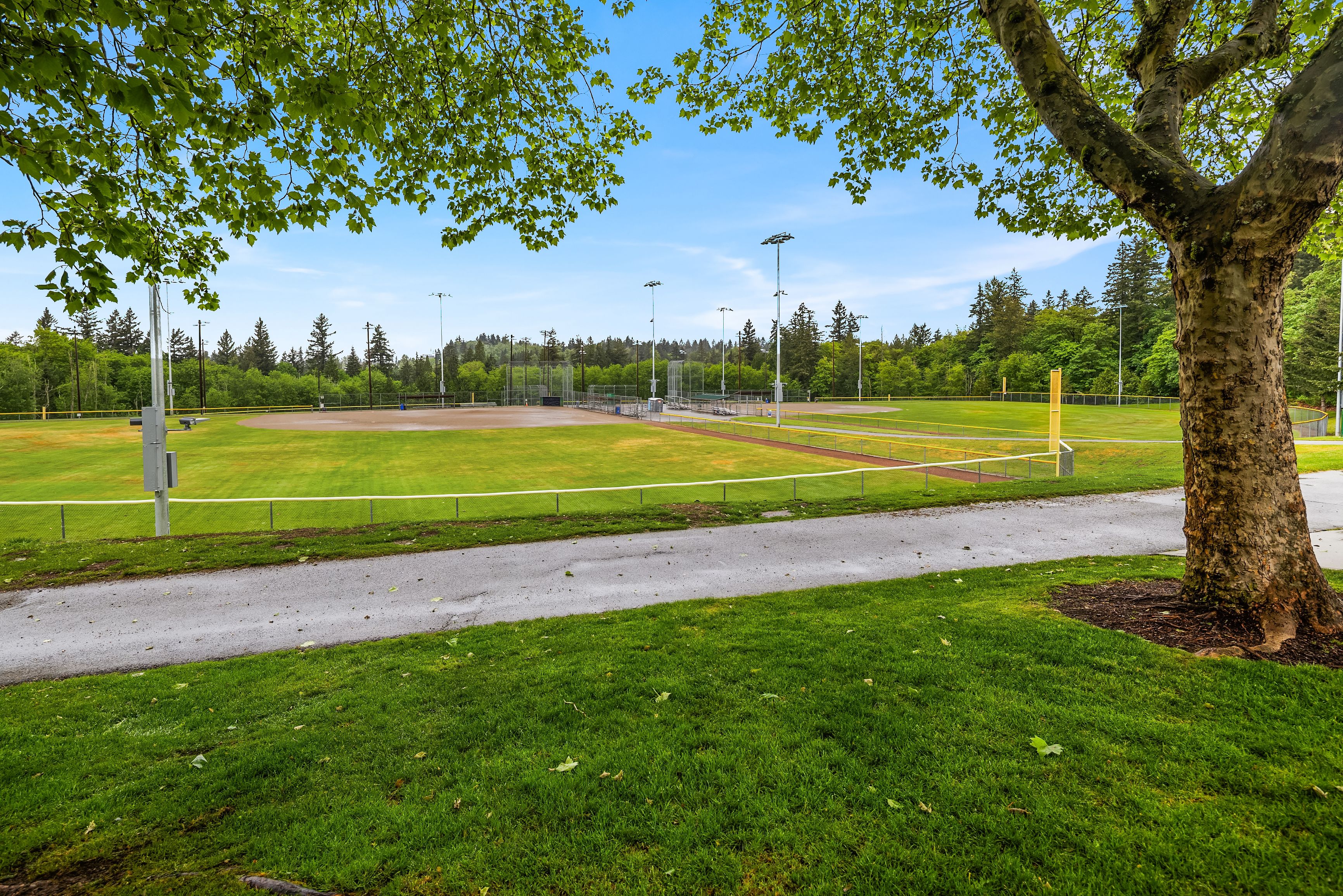  16631 SE 171st Place, Renton, WA 98058 - 物件實景