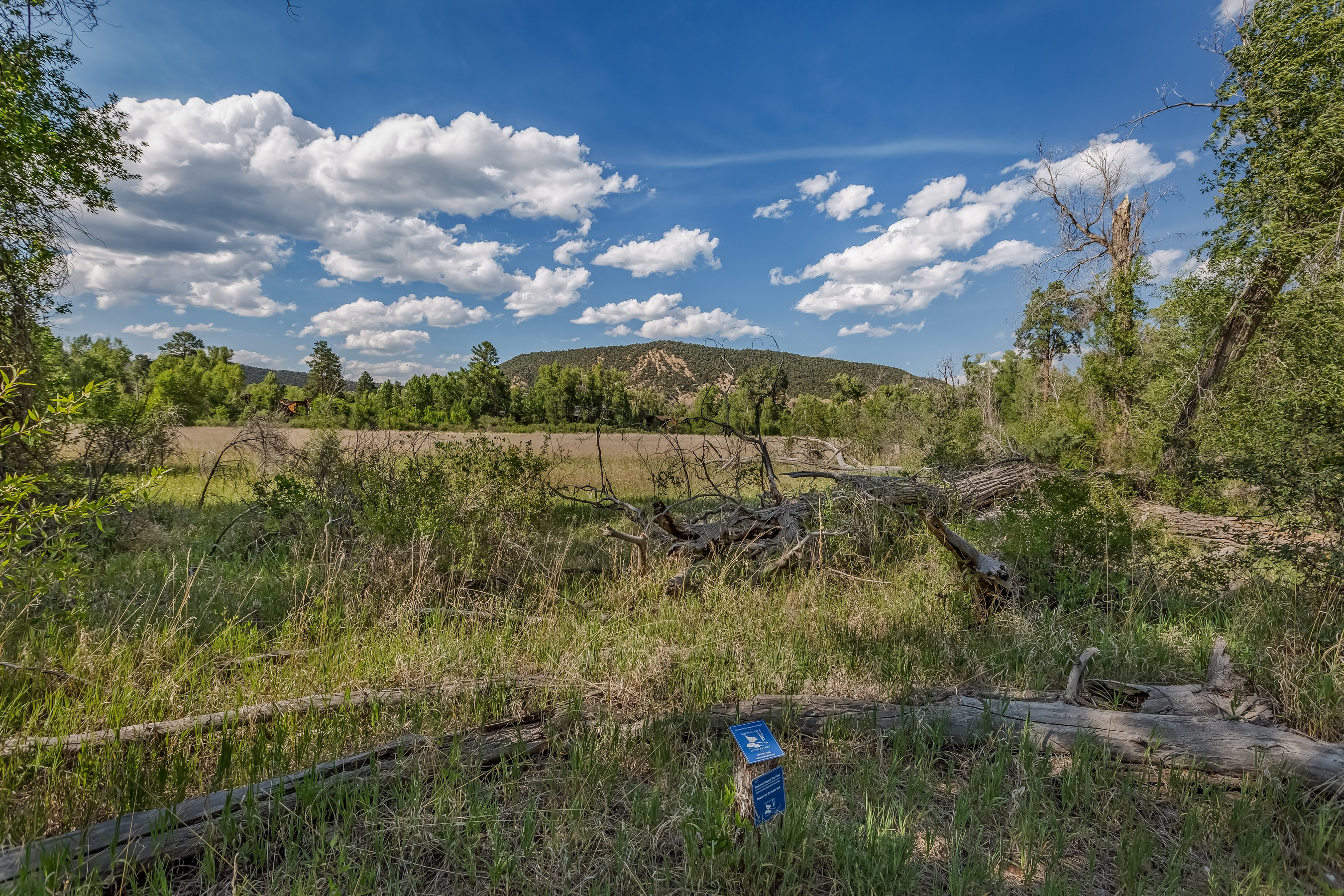  11 Piñon Lane, Carbondale, CO 81623 - 物件實景