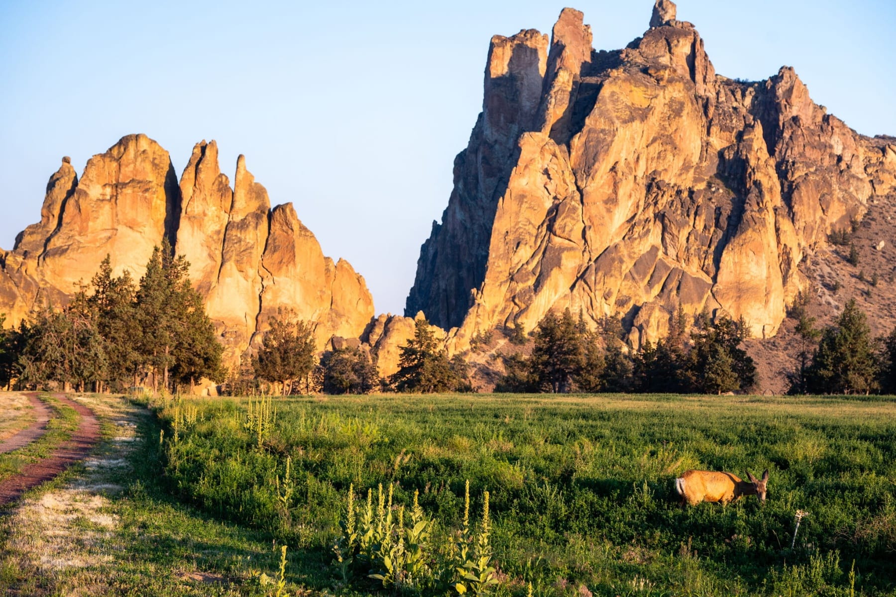  11330 NE Canyons Ranch Drive #LH 13 Terrebonne, OR 97760 - 物件實景