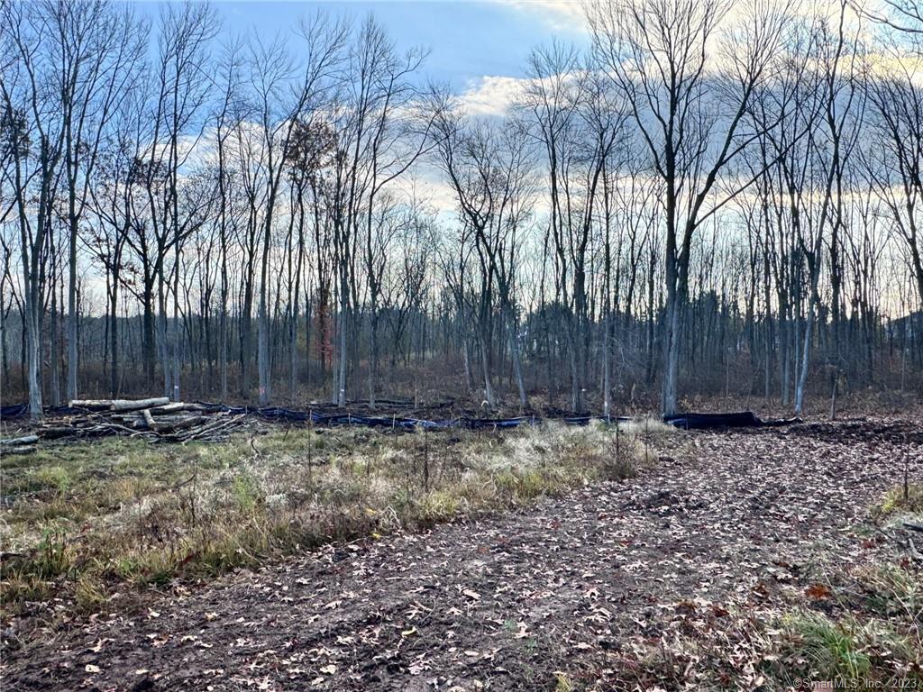 Newington, Connecticut, 06111, United States, ,Land,For Sale,1982448