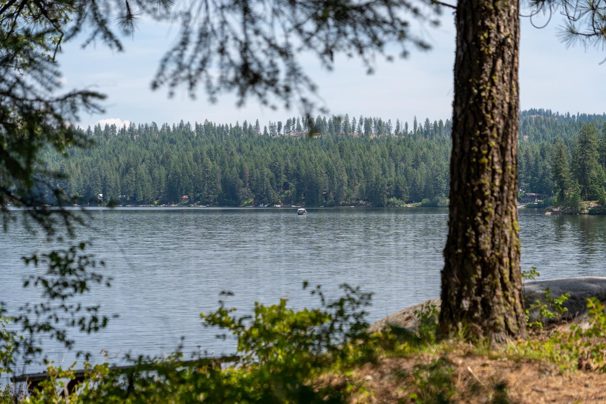 Newport, Washington, 99156, United States, ,Residential,For Sale,1869403