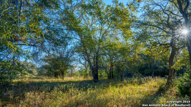 Yoakum, Texas, 77995, United States, ,Land,For Sale,1988104