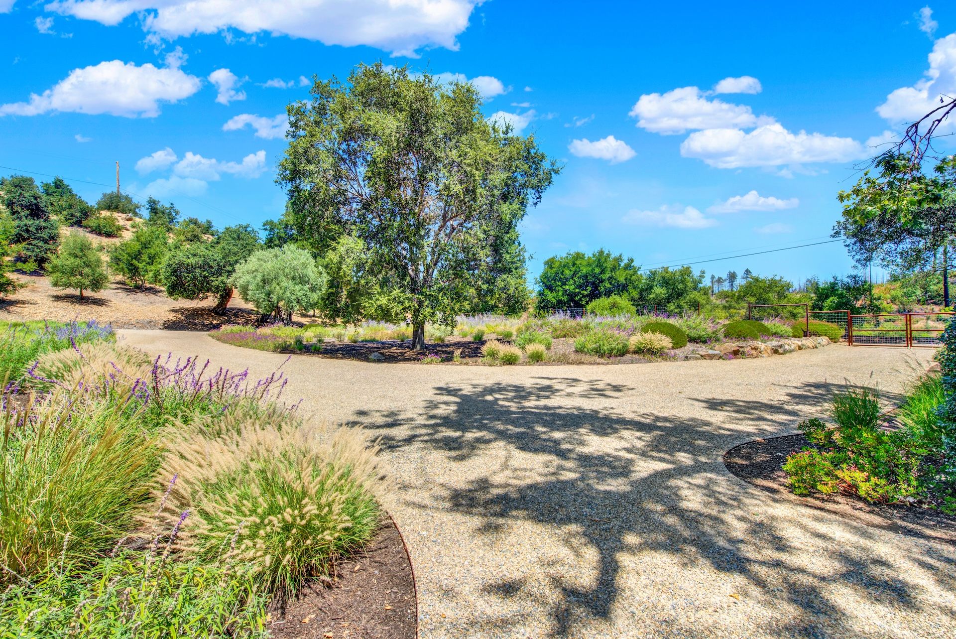  Exceptional Napa Valley Estate Set On 40 Private Acres - 物件實景