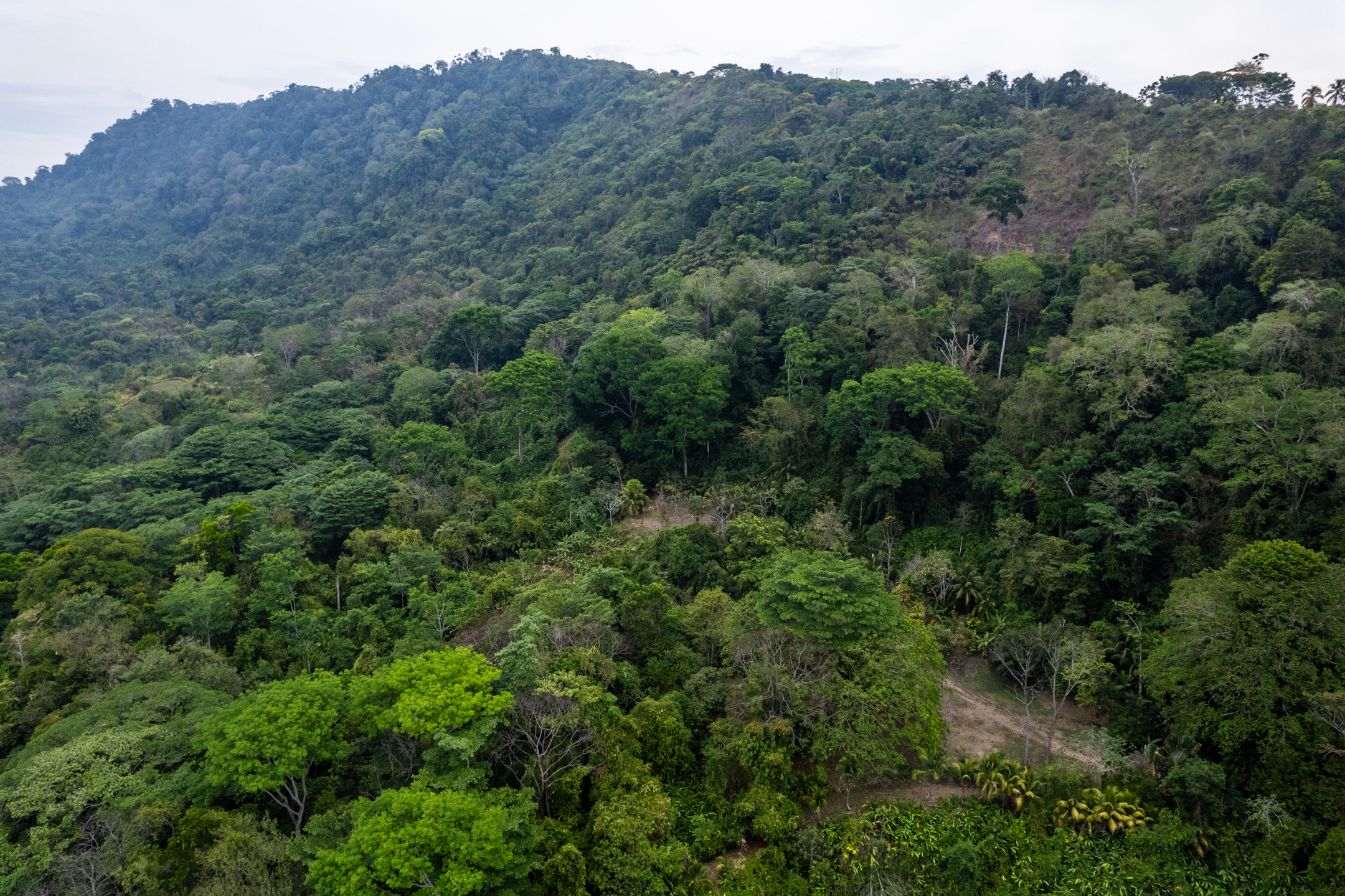 Lagunas, Dominical, Puntarenas, CR, 2 Bedrooms Bedrooms, ,1 BathroomBathrooms,Land,For Sale,Lagunas,1589118
