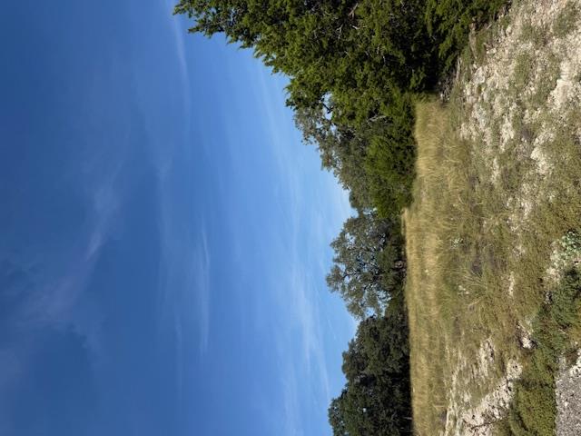 Fredericksburg, Texas, 78624, United States, 3 Bedrooms Bedrooms, ,2 BathroomsBathrooms,Residential,For Sale,1984349