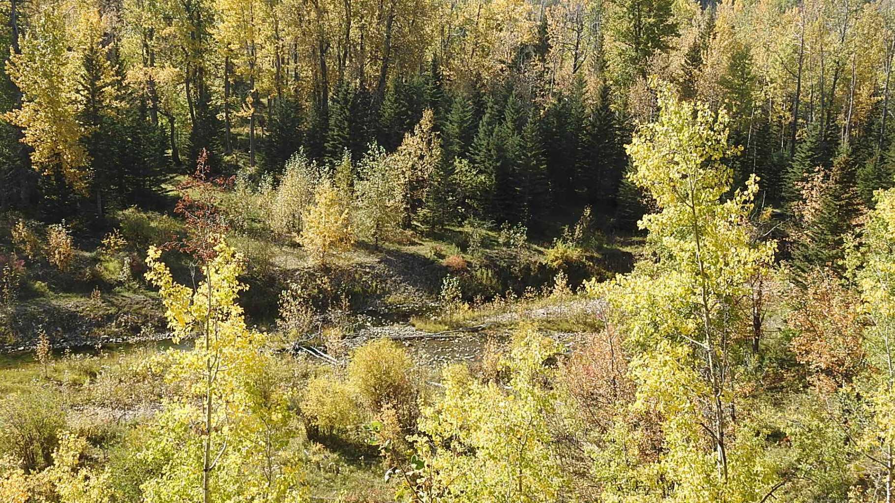 RURAL FOOTHILLS COUNTY, Alberta, T0L 1K0, CA, ,Residential,For Sale,1836944