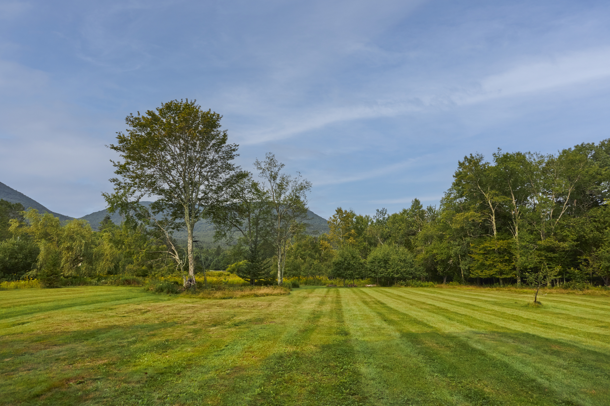  1658 Platte Clove Road, Elka Park, NY, 12427 - 物件實景