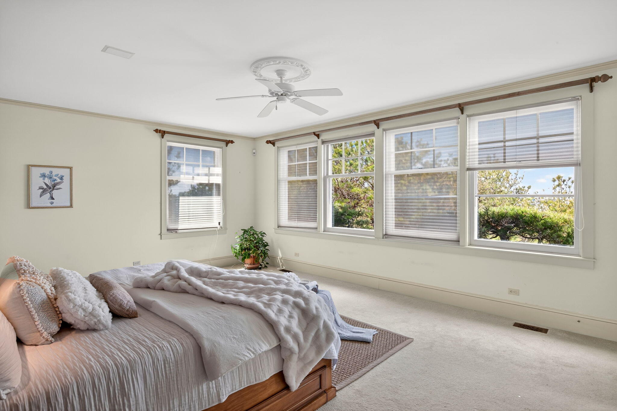  5 High Ridge Road Extension, Truro, MA, 02666 - 物件實景