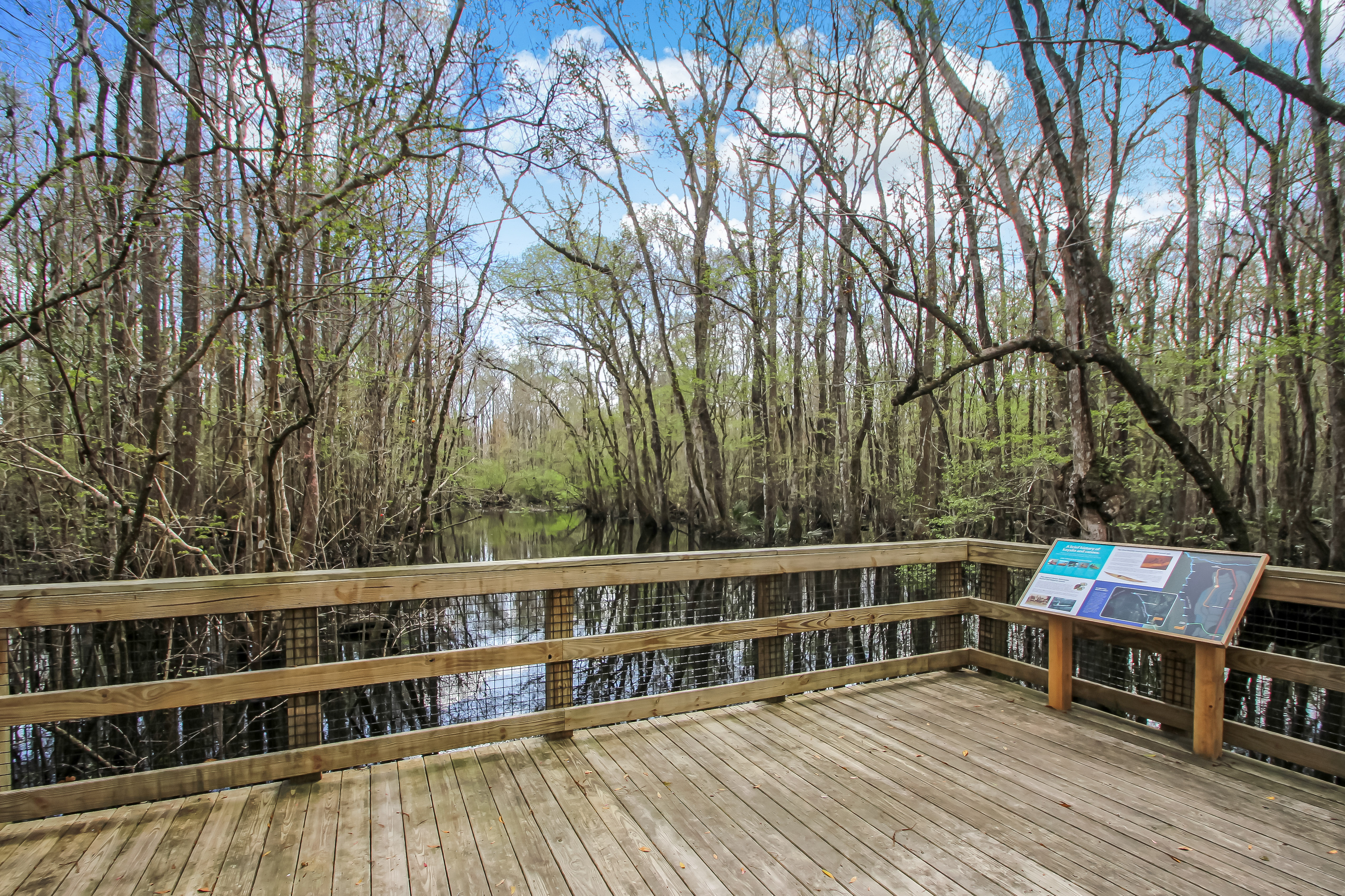  141 Linsbury Court, St. Augustine, FL, 32092 - 物件實景