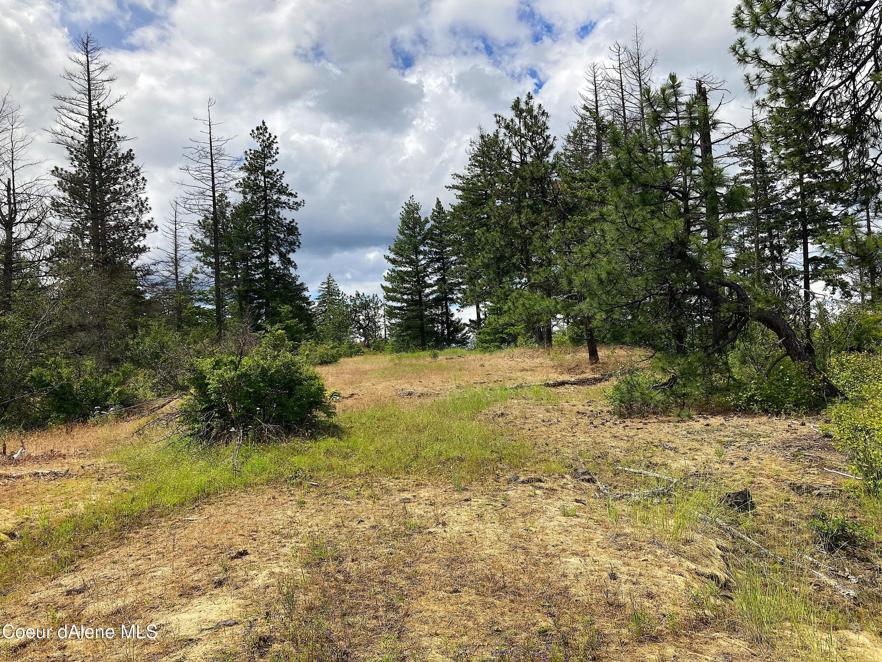 85 S Millview Lane, Coeur d'Alene, Idaho, 83814, United States, ,Residential,For Sale,85 S Millview Lane,1476039