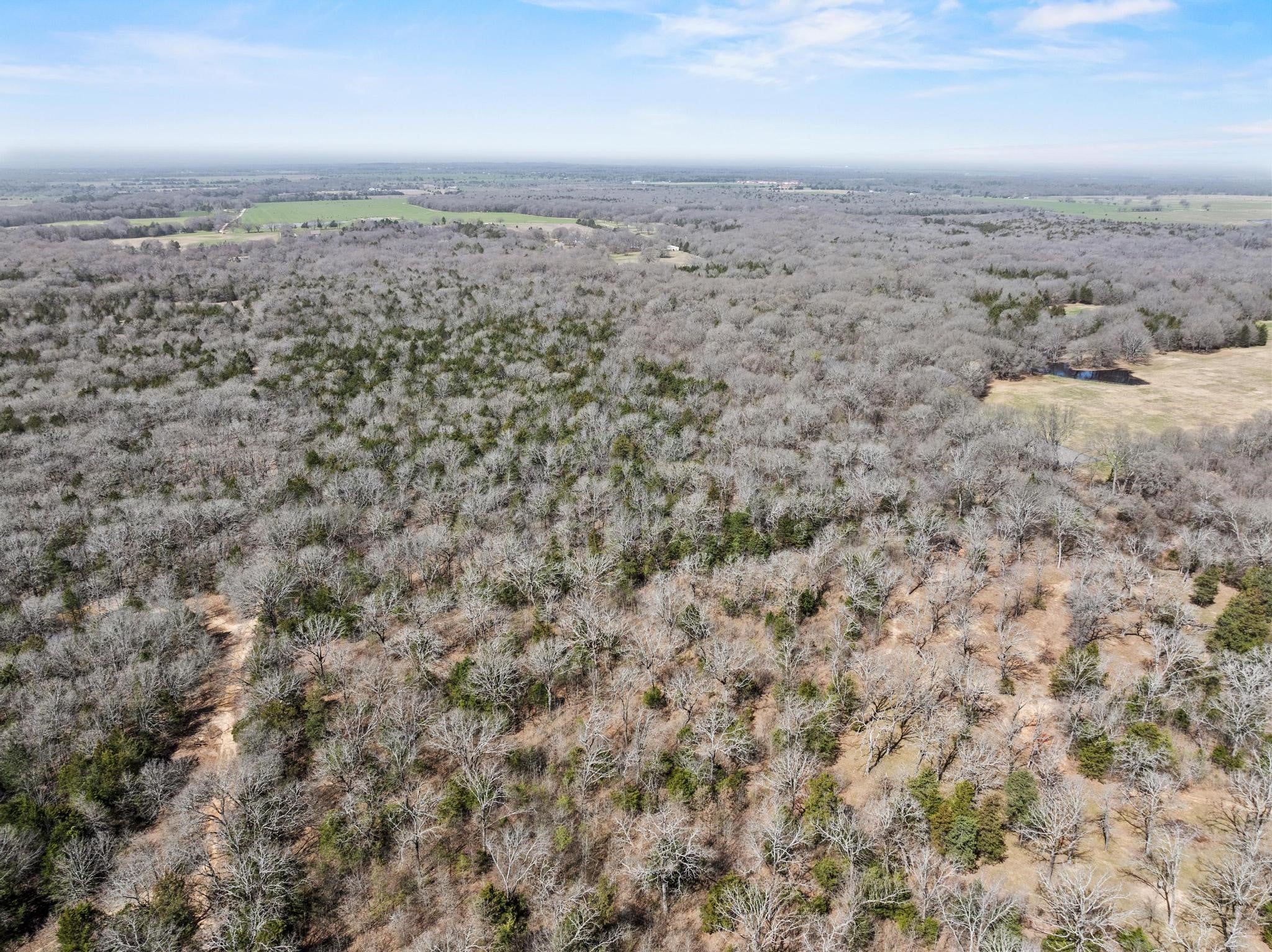 Ivanhoe, Texas, 75447, United States, 3 Bedrooms Bedrooms, ,2 BathroomsBathrooms,Residential,For Sale,1974689