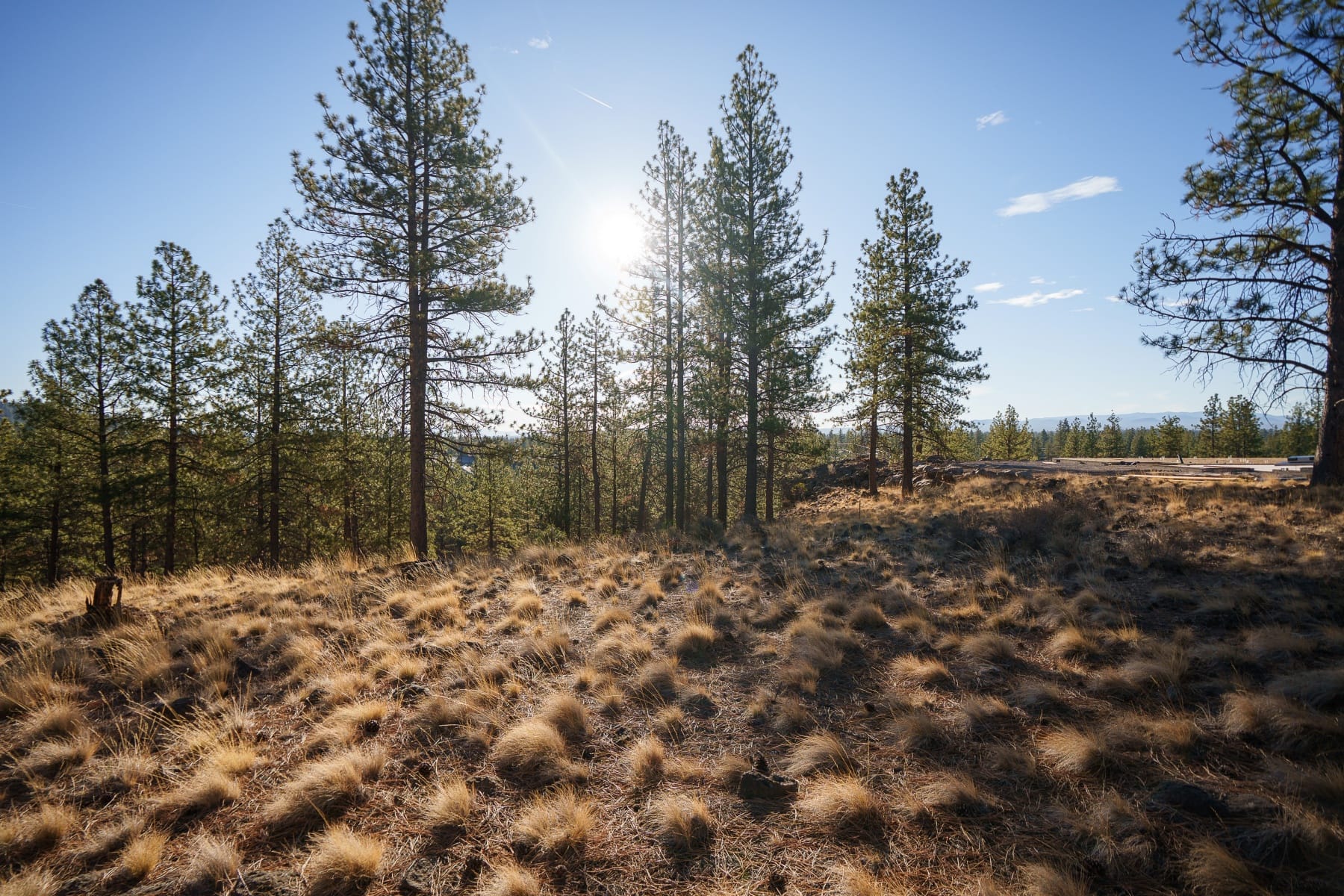  19151 Horizon View Drive Bend, OR 97703 - 物件實景
