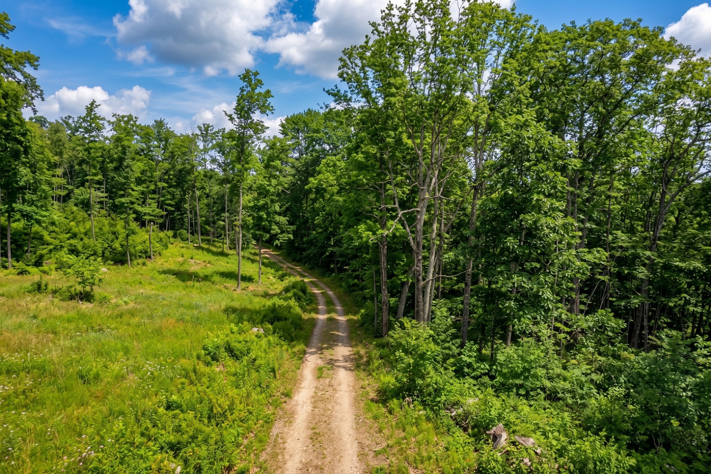  Swaller Hill Road - 物件實景