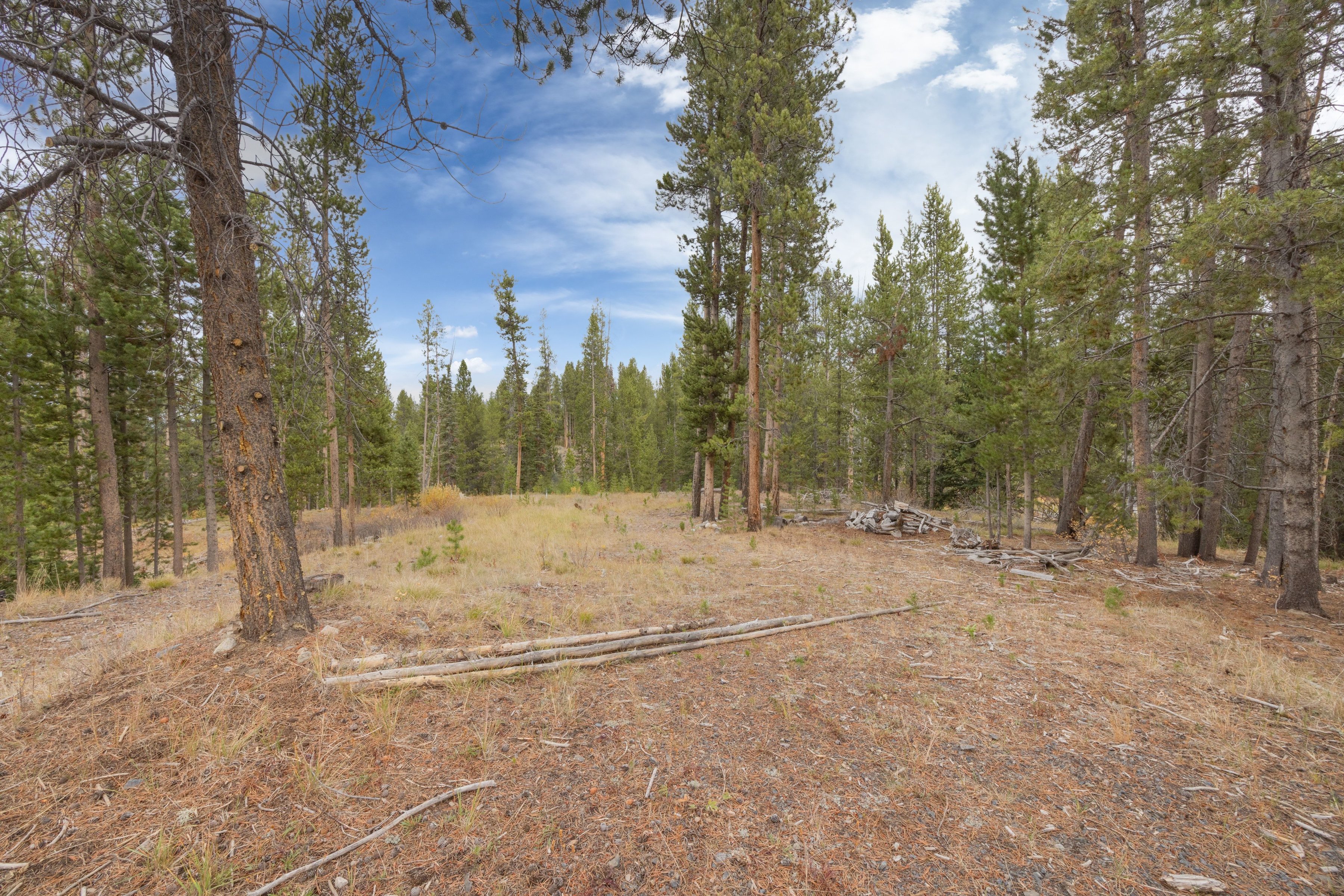  A Rare Creekside Retreat In The Sawtooths - 物件實景