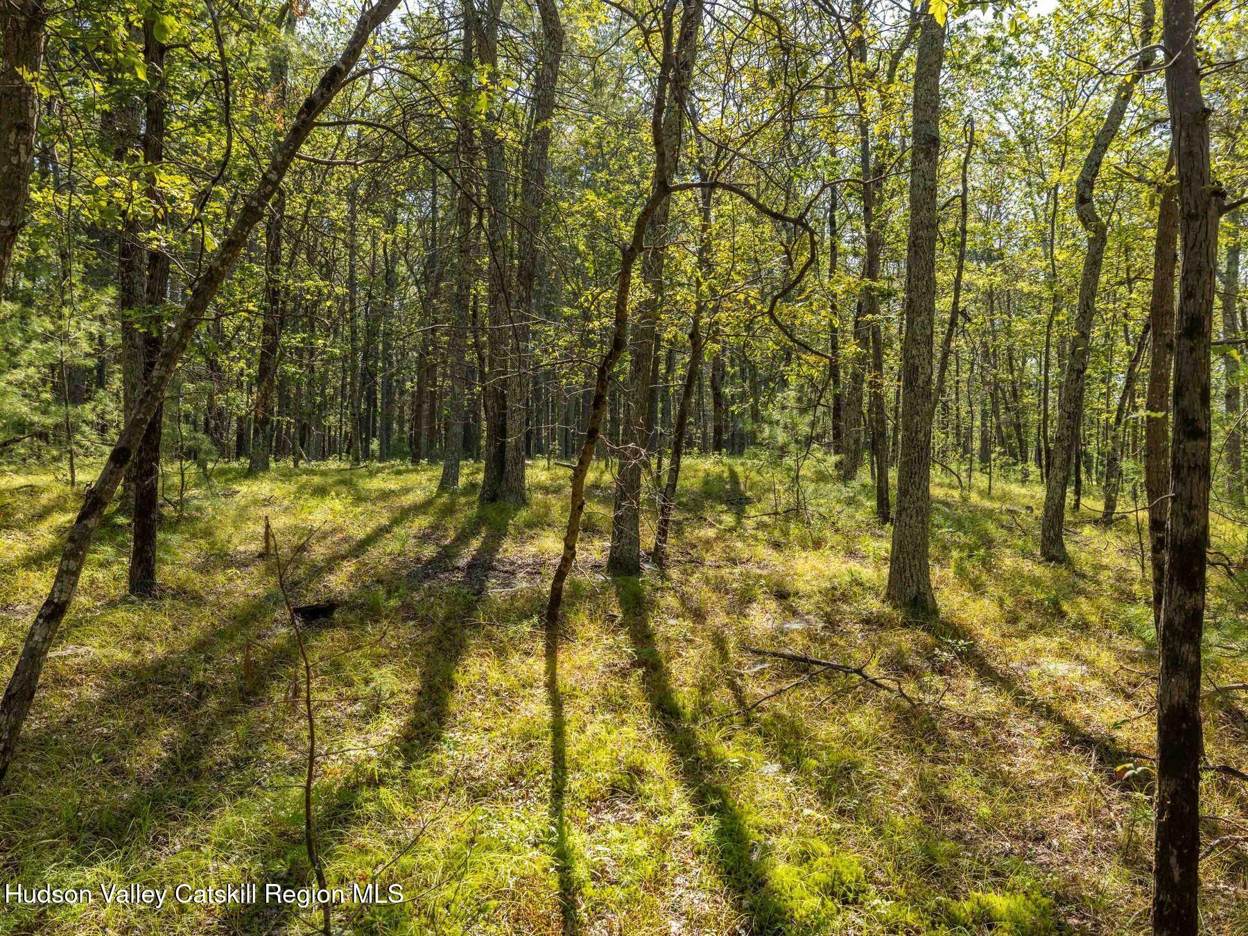 Hurley, New York, 12443, United States, ,Residential,For Sale,1947114