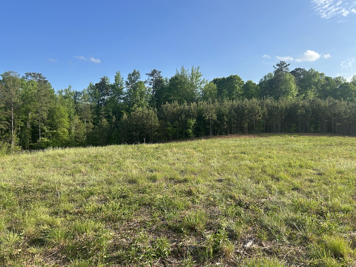 Roopville, Georgia, 30170, United States, ,Residential,For Sale,1780793