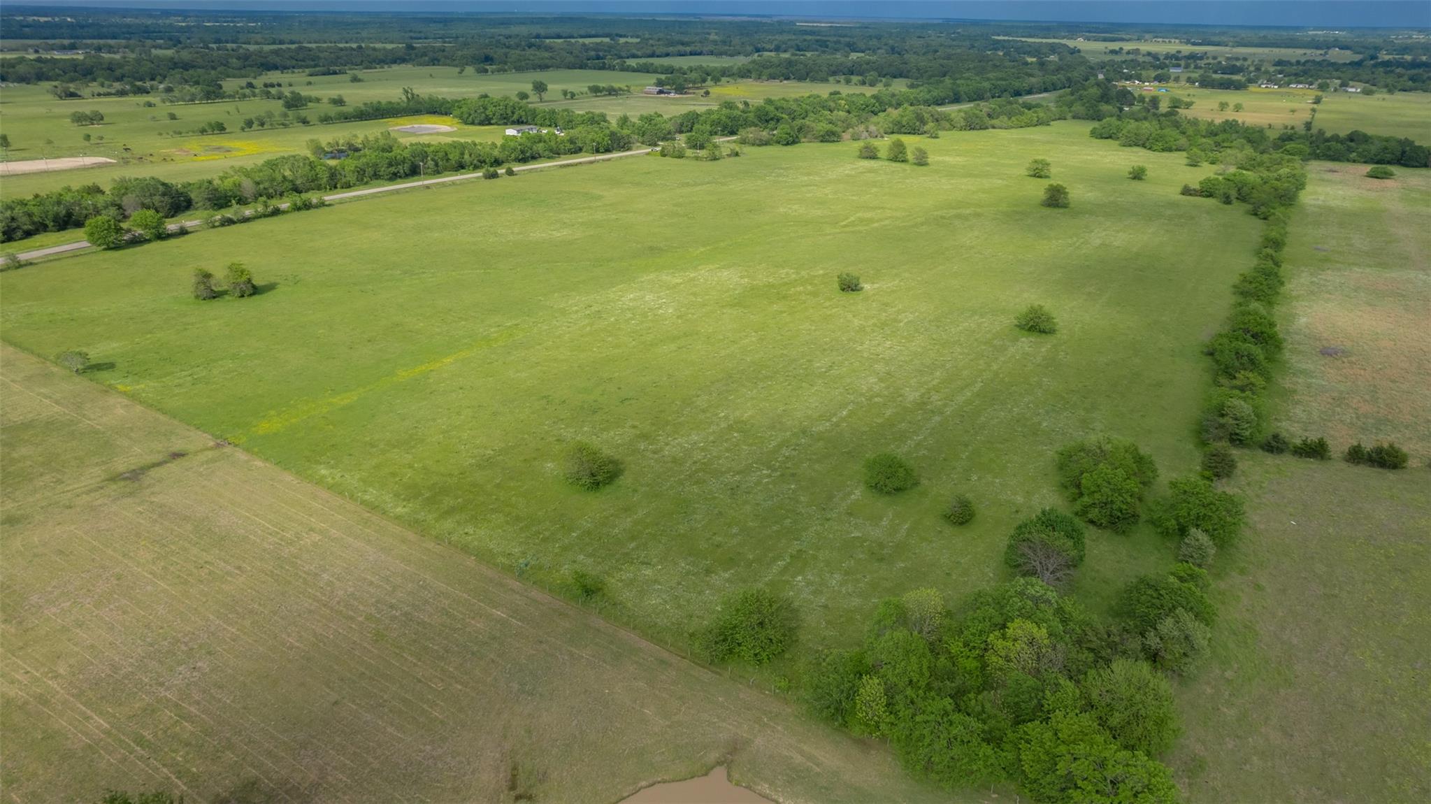 Commerce, Texas, 75428, United States, ,Residential,For Sale,1810631