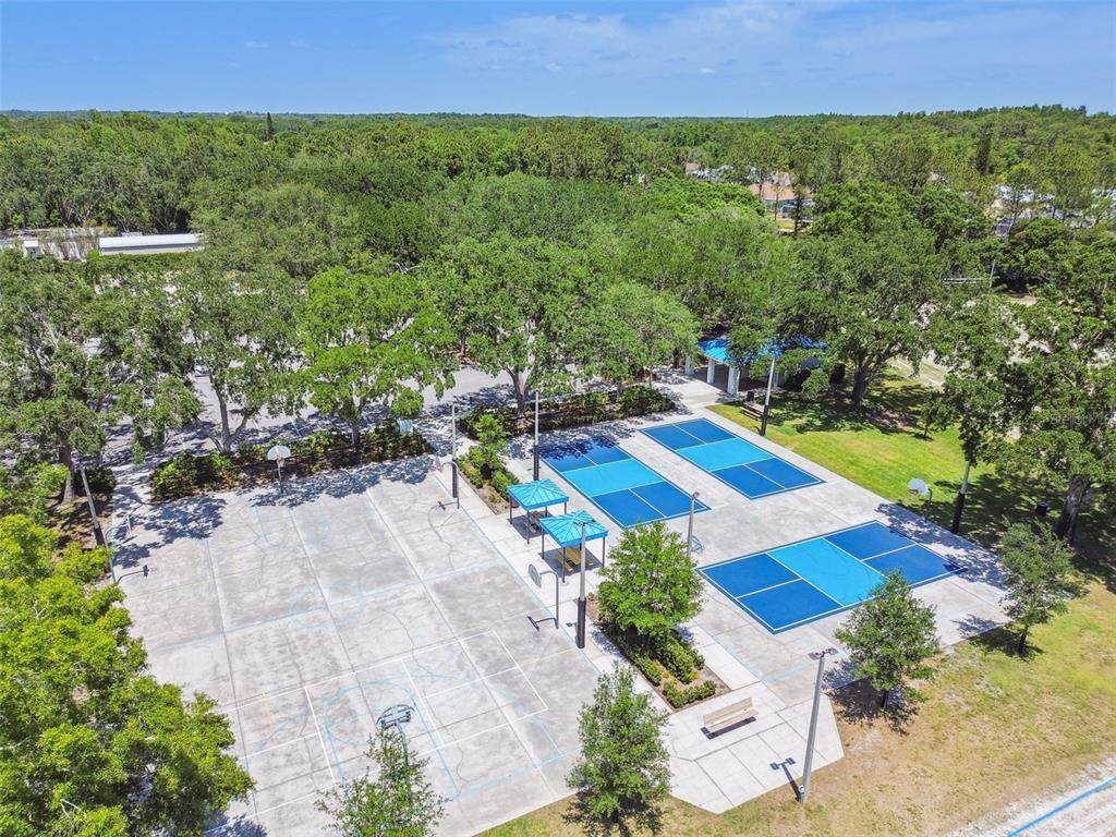 Palm Harbor, Florida, 34685, United States, 4 Bedrooms Bedrooms, ,4 BathroomsBathrooms,Residential,For Sale,1992596