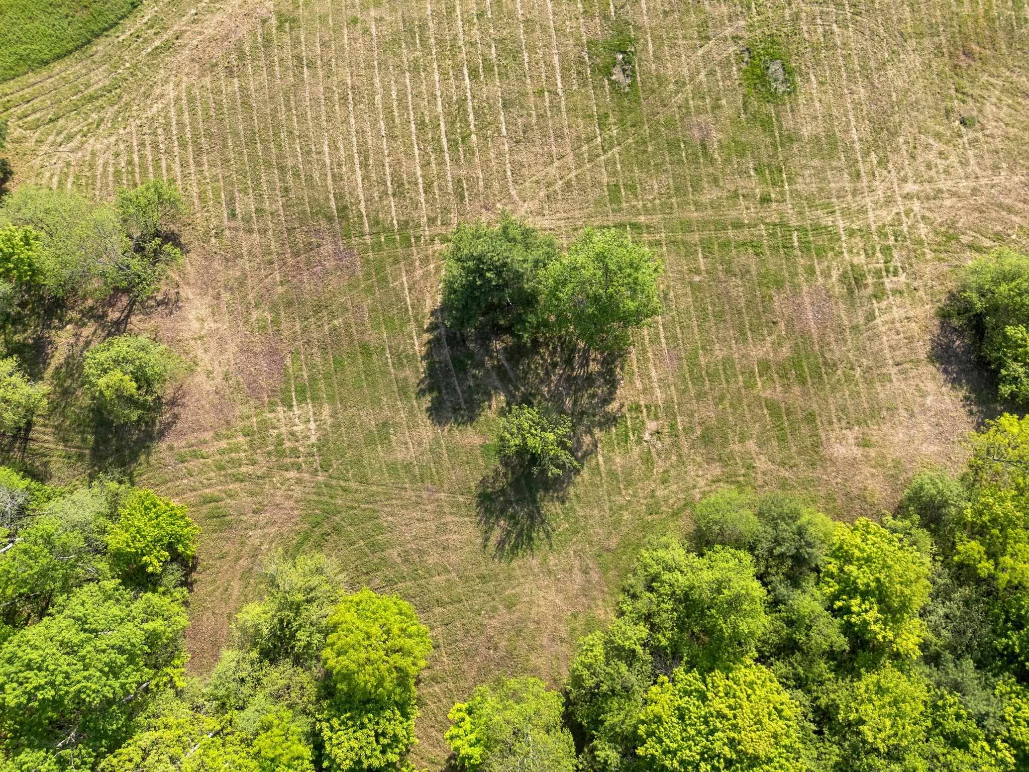  0 Newton Lane - 物件實景