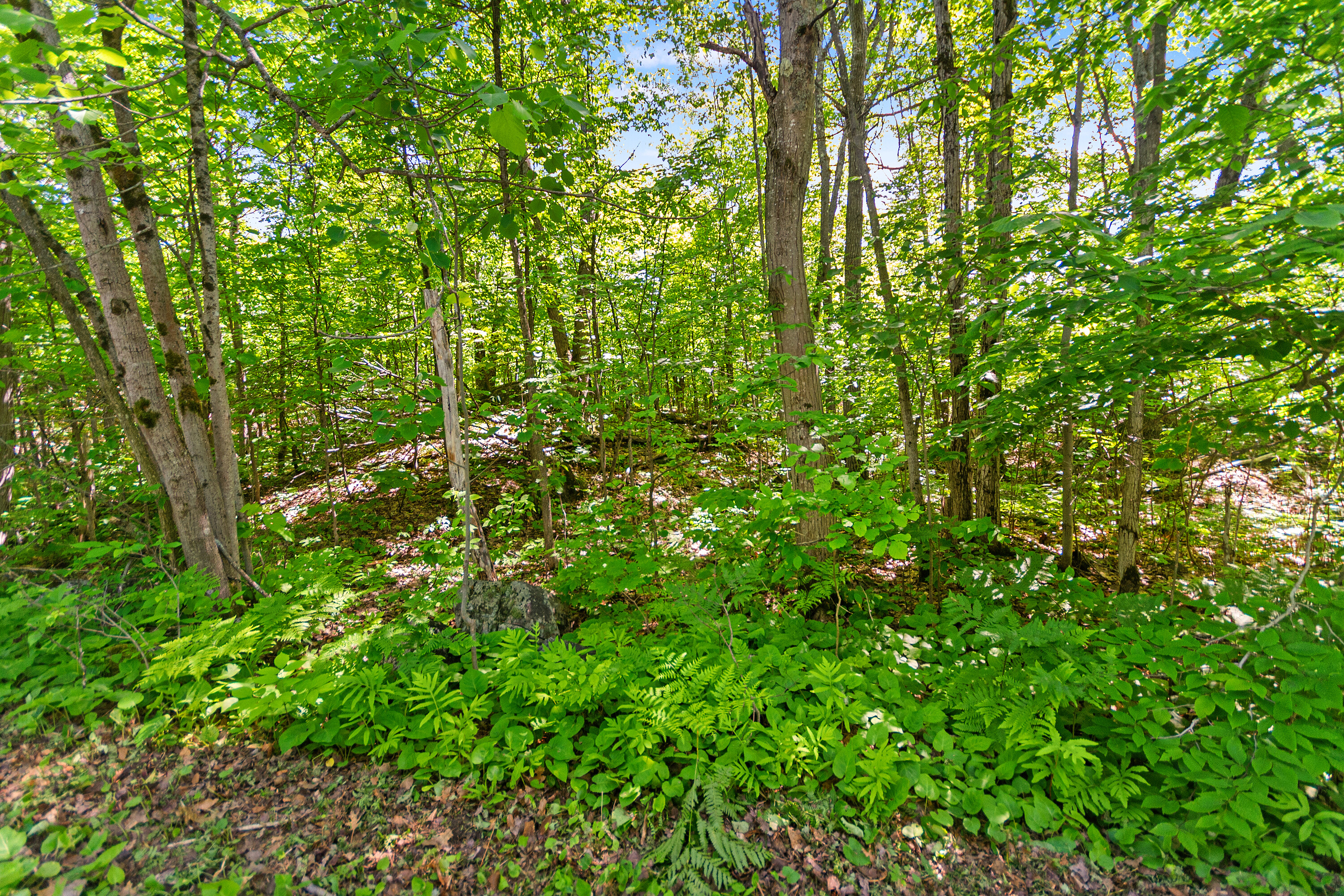 Parry Sound Area Building Lot - 物件實景
