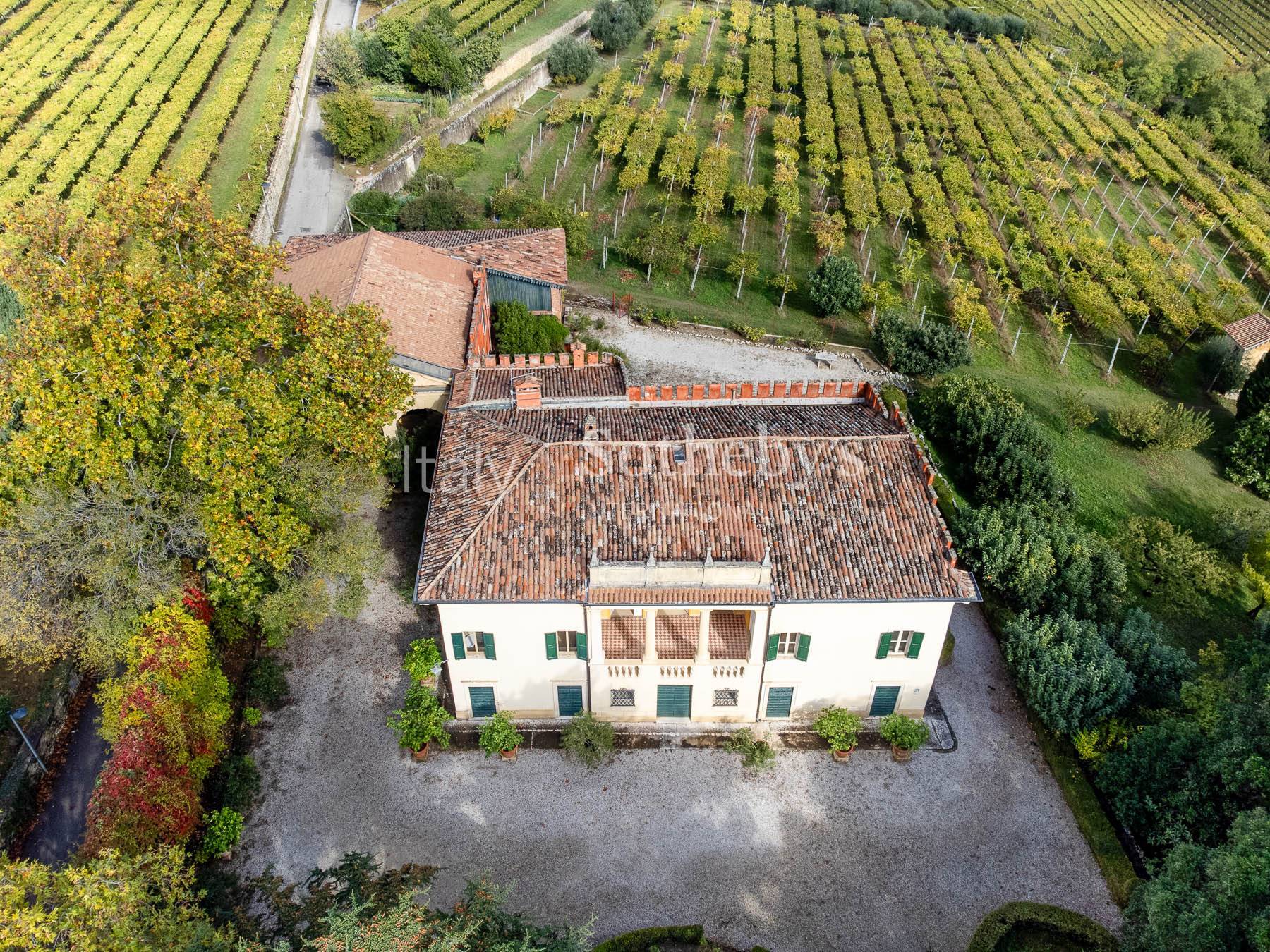  Charming venetian villa with vineyard in the heart of the Valpolicella - 物件實景