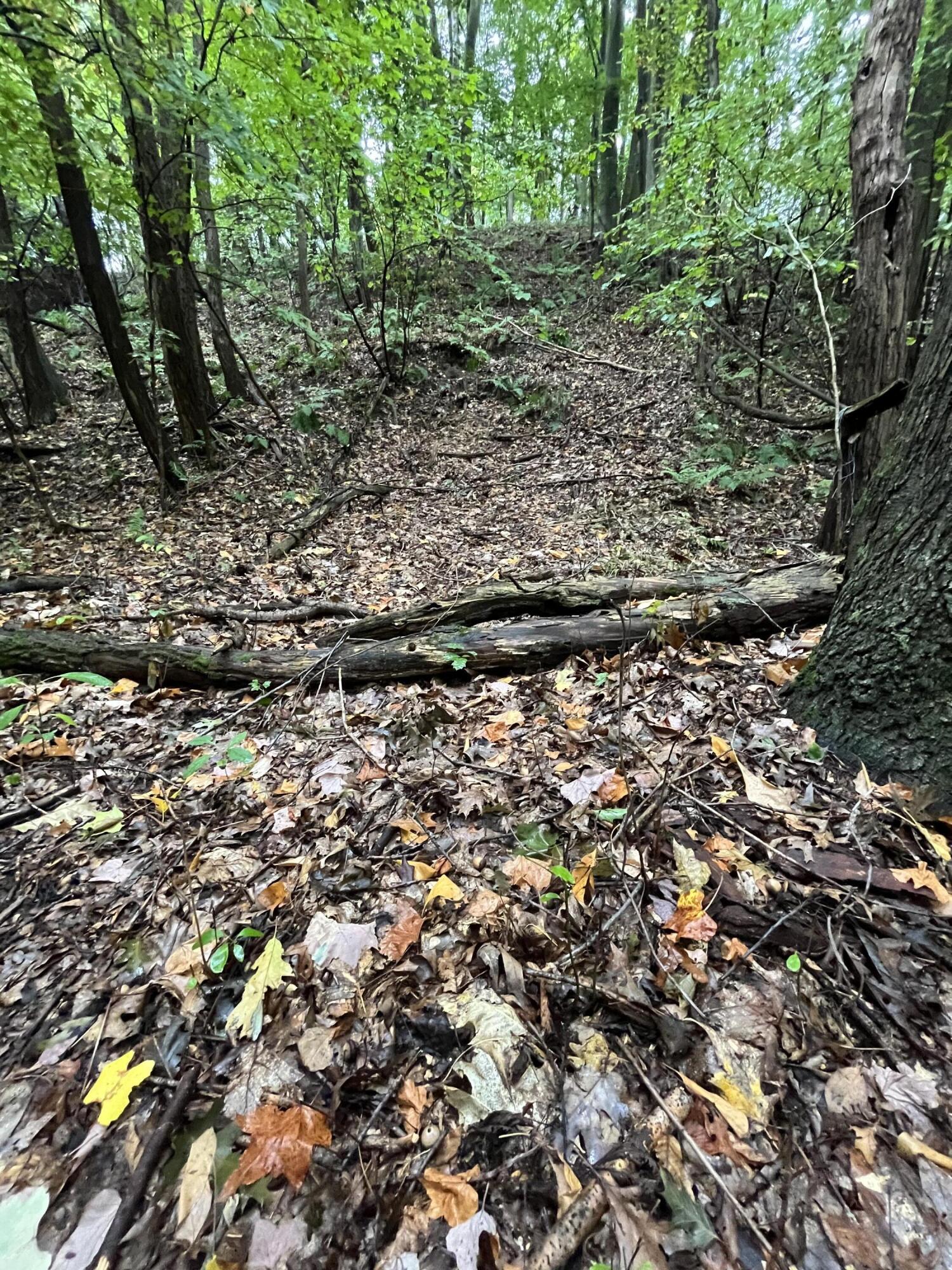 Holland, Michigan, 49423, United States, ,Land,For Sale,1984498