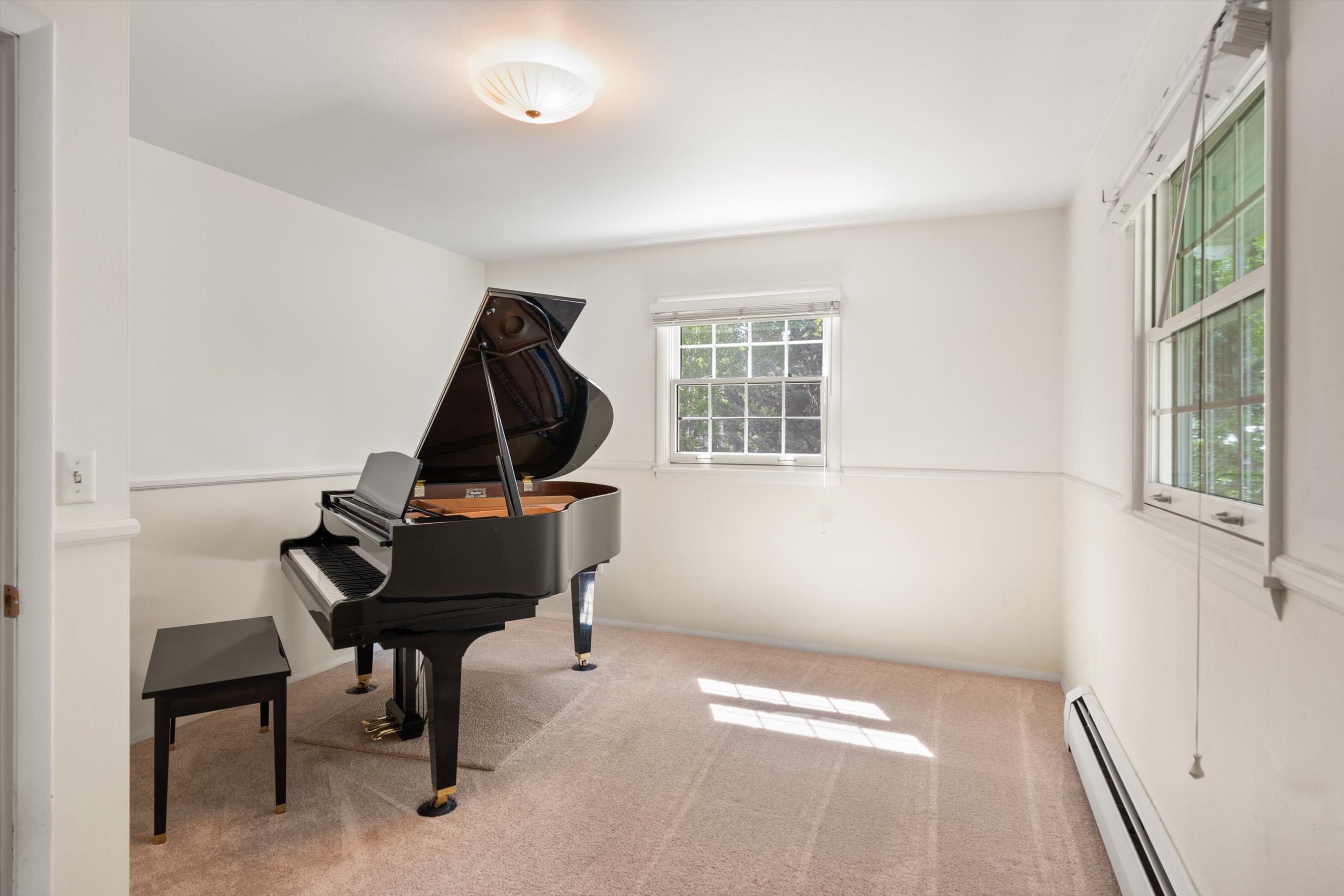  875 Bonita Drive, Aspen, CO 81611 - 物件實景