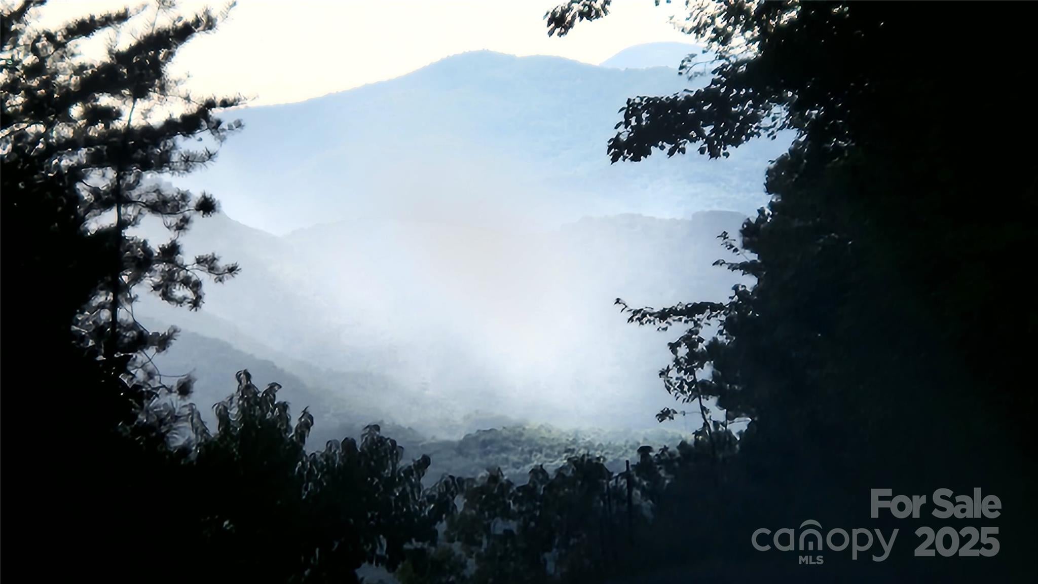 Union Mills, North Carolina, 28167, United States, ,Land,For Sale,2002836