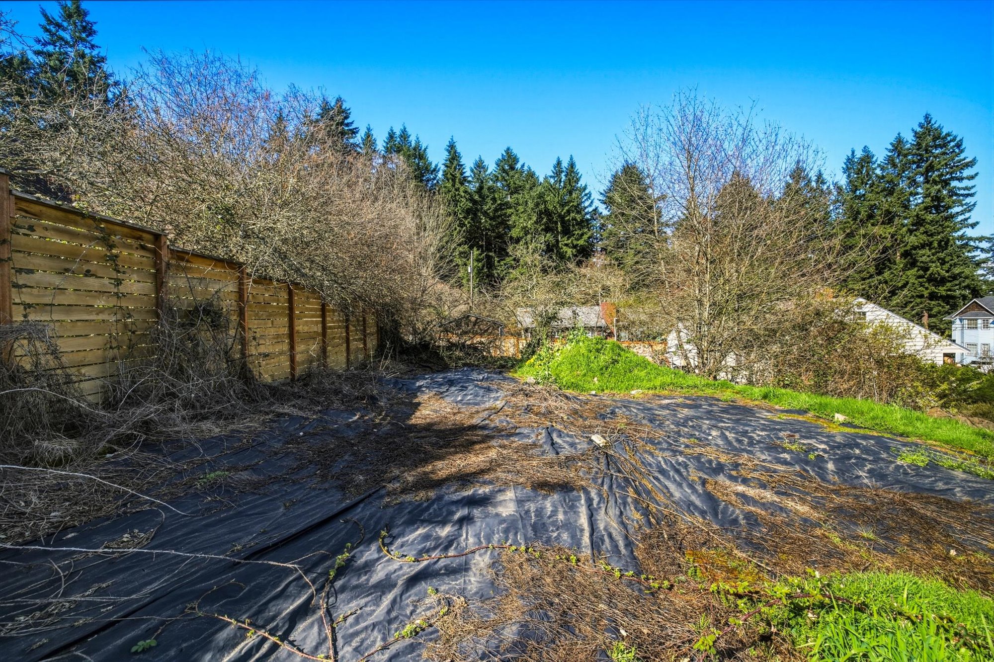  9017 3rd Avenue Southwest, Seattle, WA 98106 - 物件實景