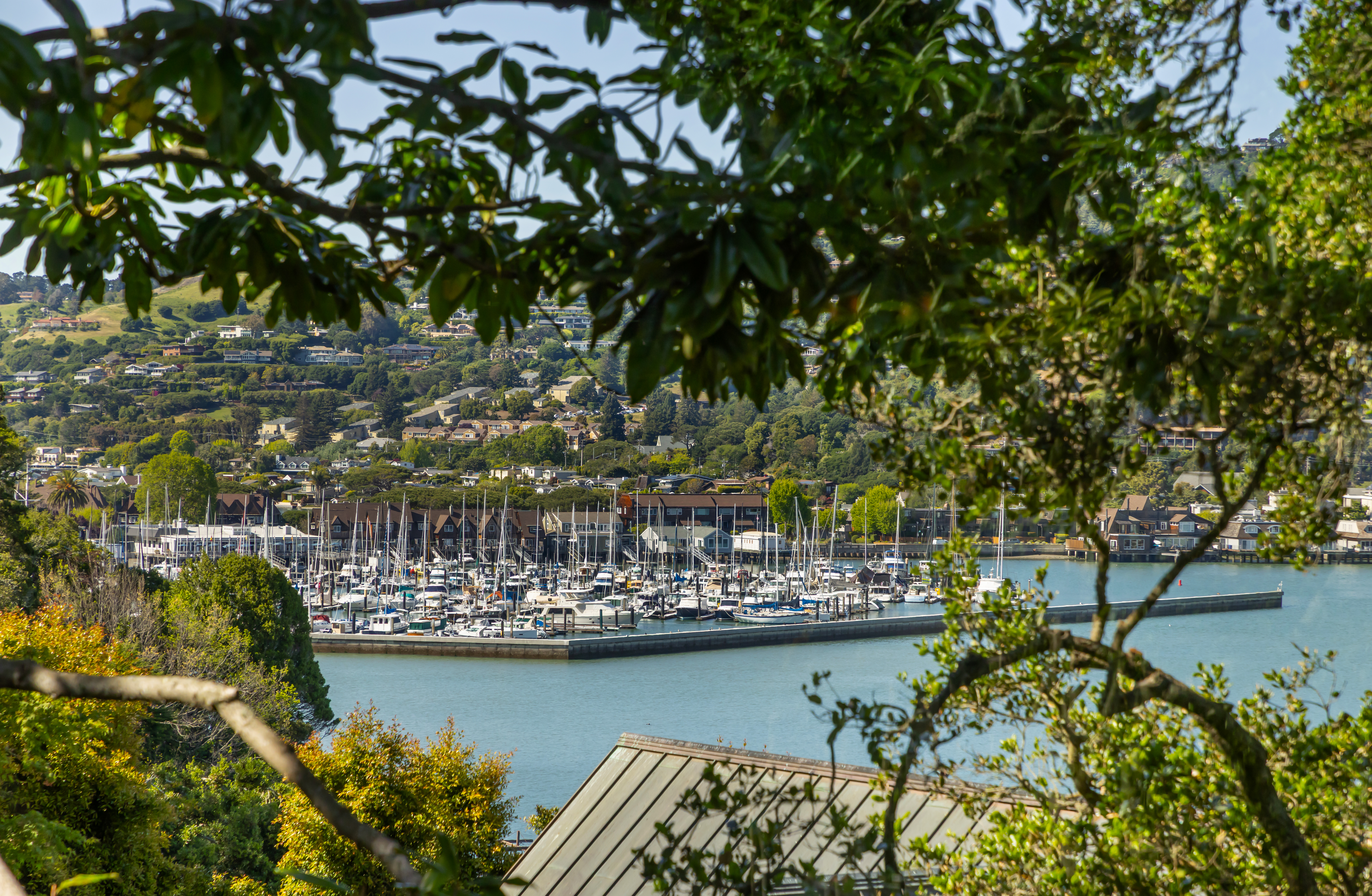  Coastal Living on Coveted Beach Road - 物件實景