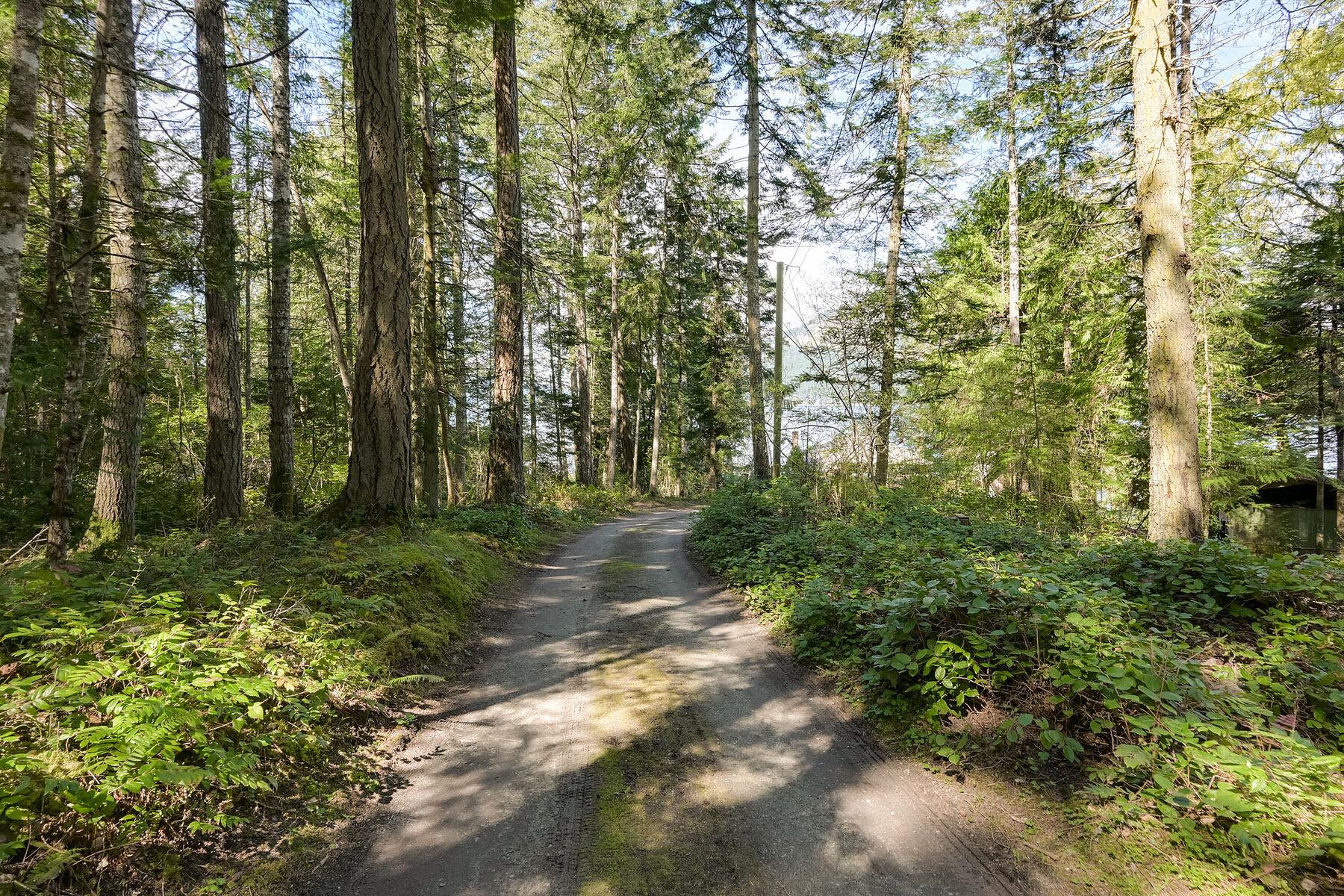  Serene Woodland Charm - 物件實景