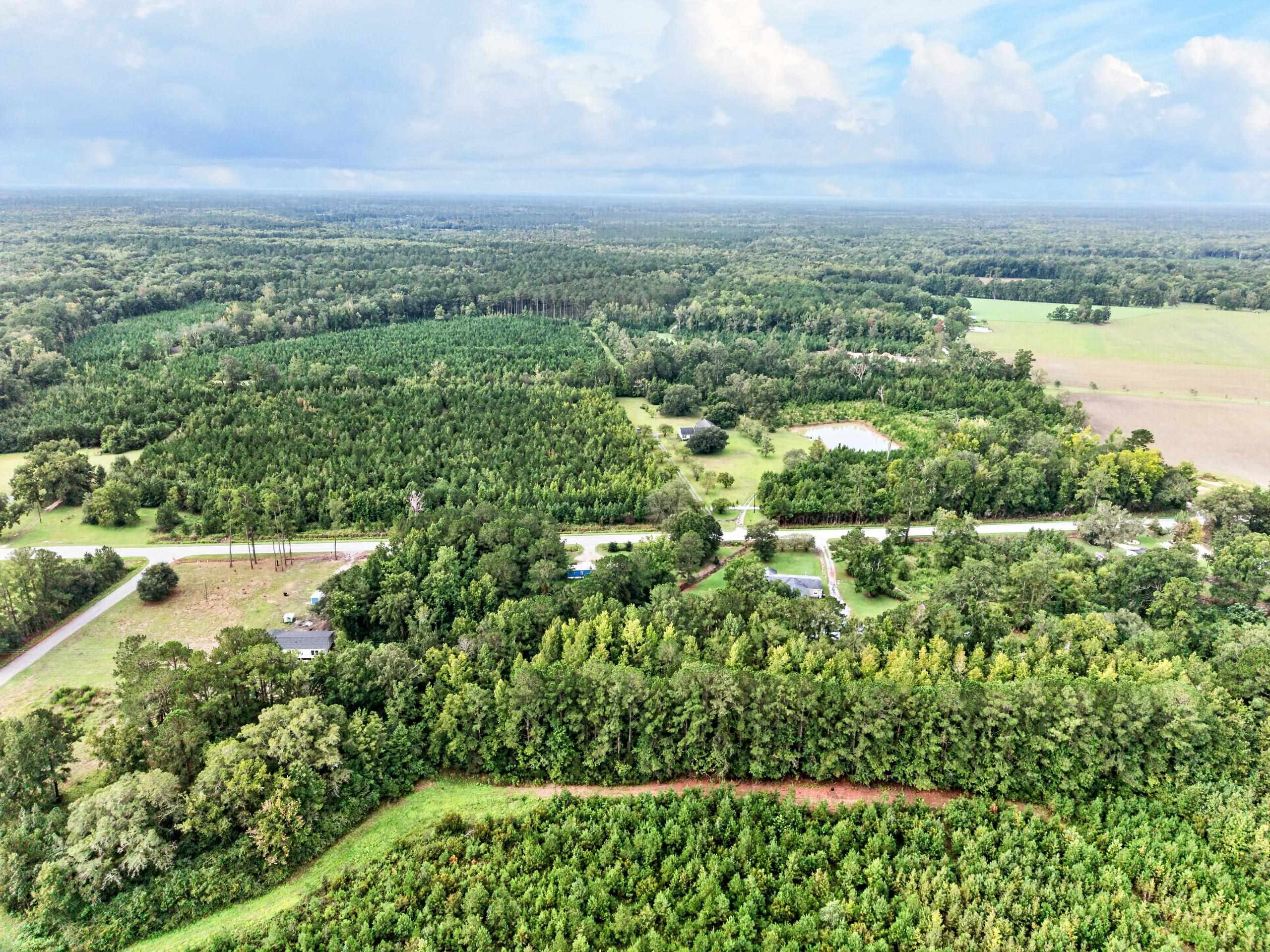  8812 Thurgood Marshall Hwy  Andrews, SC - 物件實景