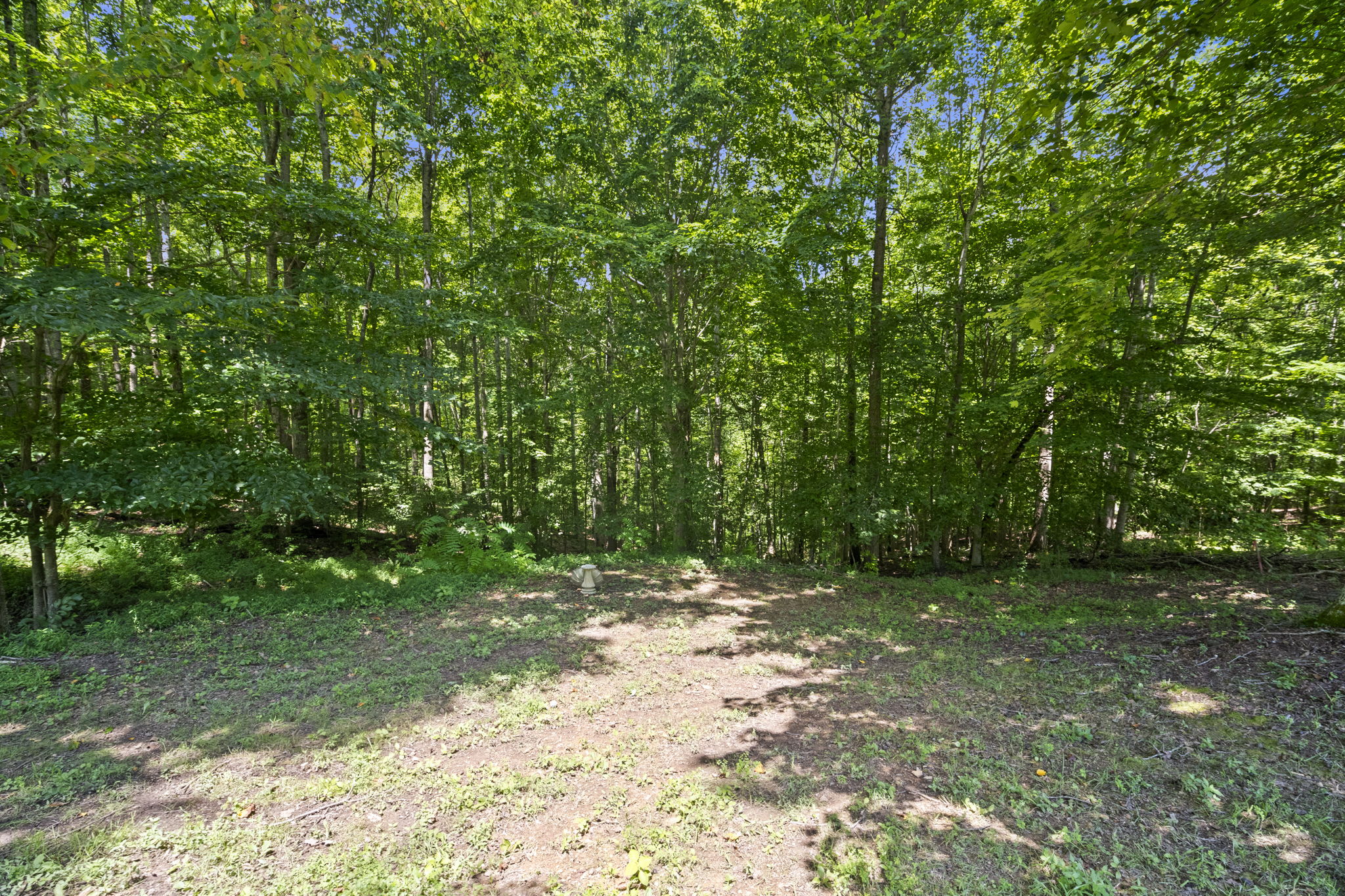 Ashland City, Tennessee, 37015, United States, 3 Bedrooms Bedrooms, ,3 BathroomsBathrooms,Residential,For Sale,1983979