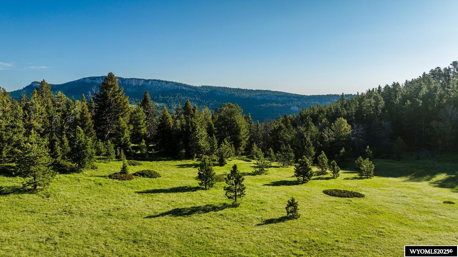 Buffalo, Wyoming, 82834, United States, ,Land,For Sale,1778348