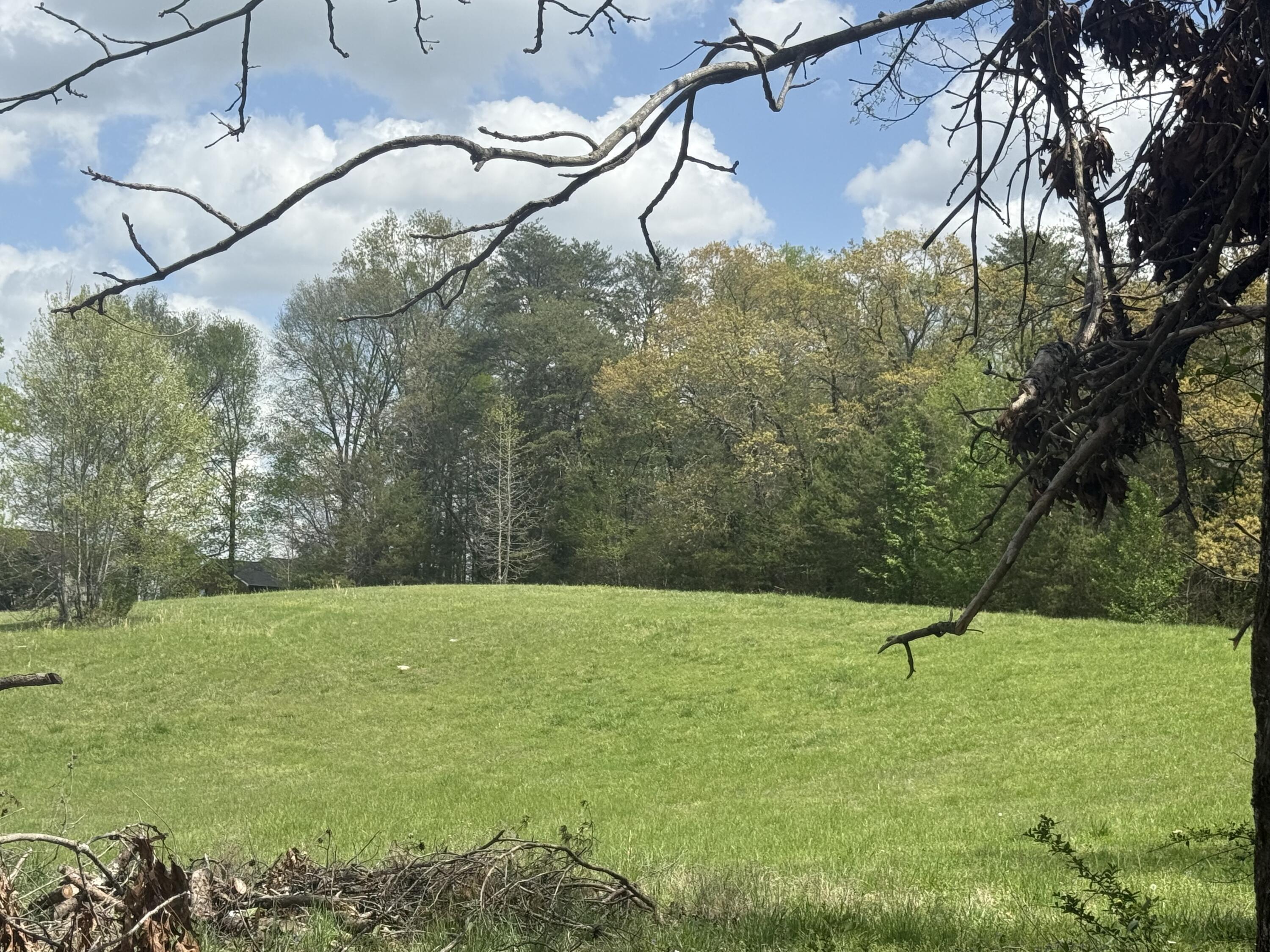 Whitwell, Tennessee, 37397, United States, ,Residential,For Sale,1763603