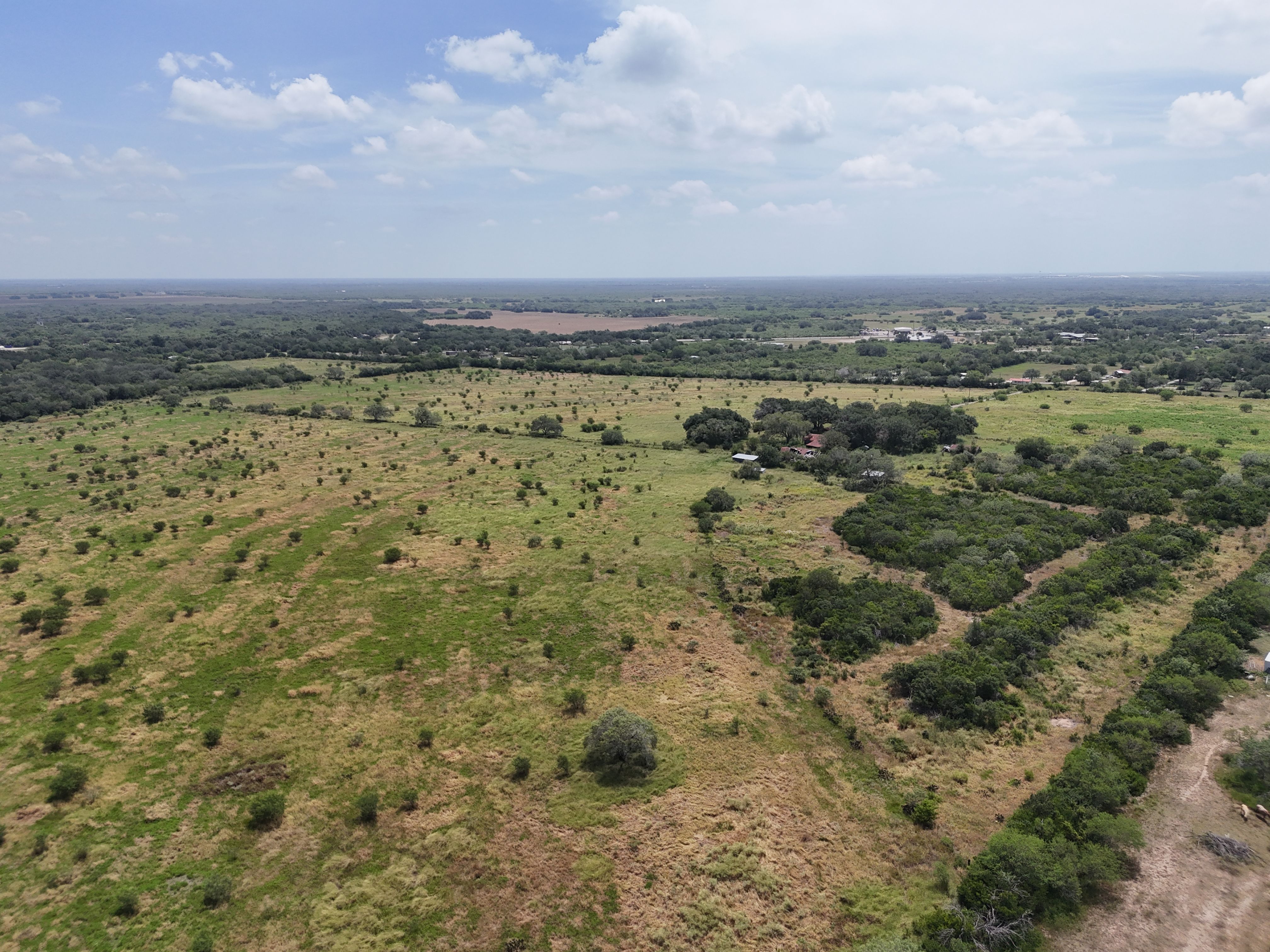  Old Houston Ranch, Bee County - 物件實景