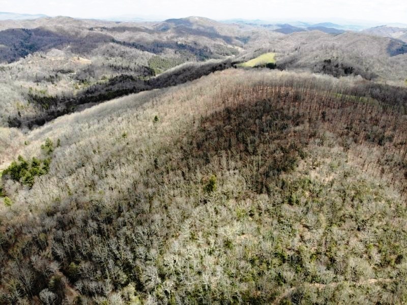 Lansing, North Carolina, 28643, United States, 1 Bedroom Bedrooms, ,1 BathroomBathrooms,Residential,For Sale,1974304