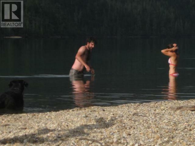 WELLS GRAY, British Columbia, V0E 1N1, CA, 1 Bedroom Bedrooms, ,1 BathroomBathrooms,Residential,For Sale,1838822