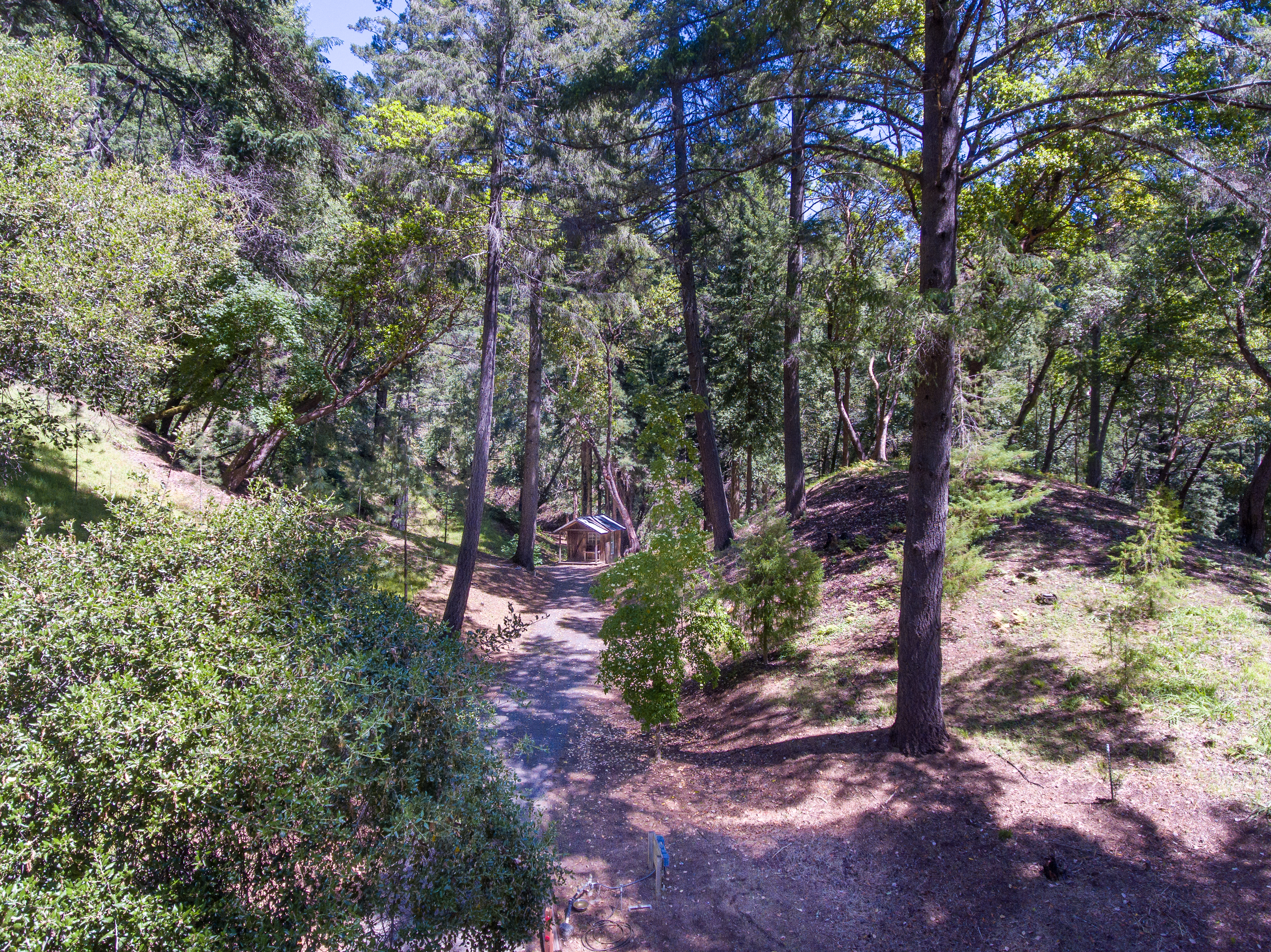  18900 Armstrong Woods Road, Guerneville, CA 95446 - 物件實景