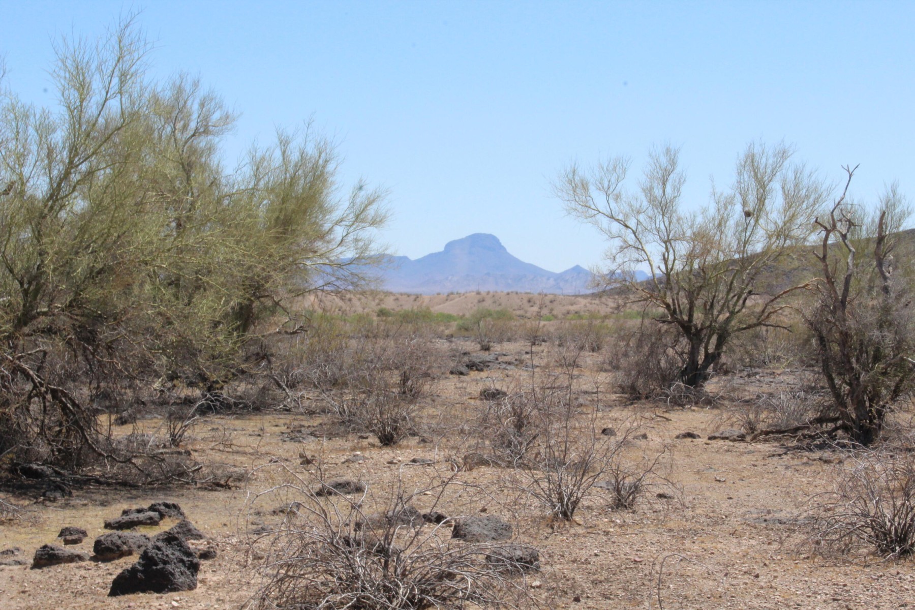  11 S 337th Avenue, Arlington, AZ, 85322 - 物件實景