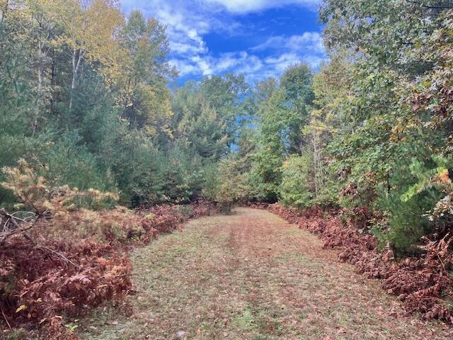 Branch, Michigan, 49402, United States, 5 Bedrooms Bedrooms, ,4 BathroomsBathrooms,Residential,For Sale,1986273