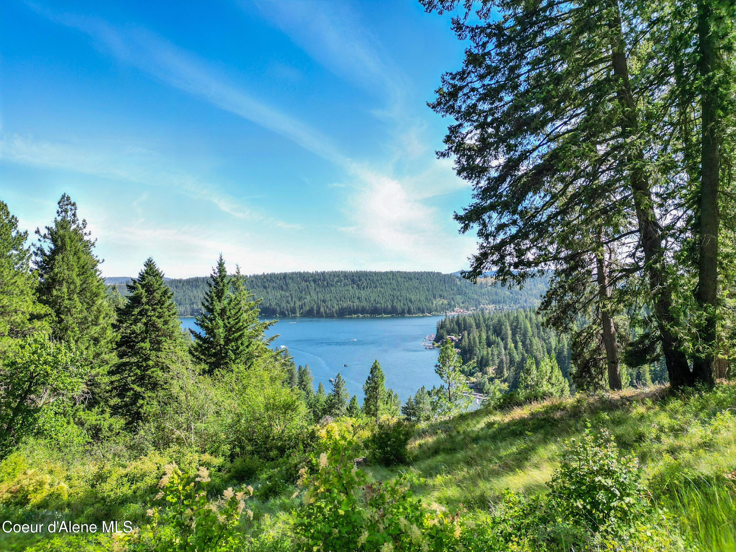 Worley, Idaho, 83876, United States, ,Land,For Sale,1980787
