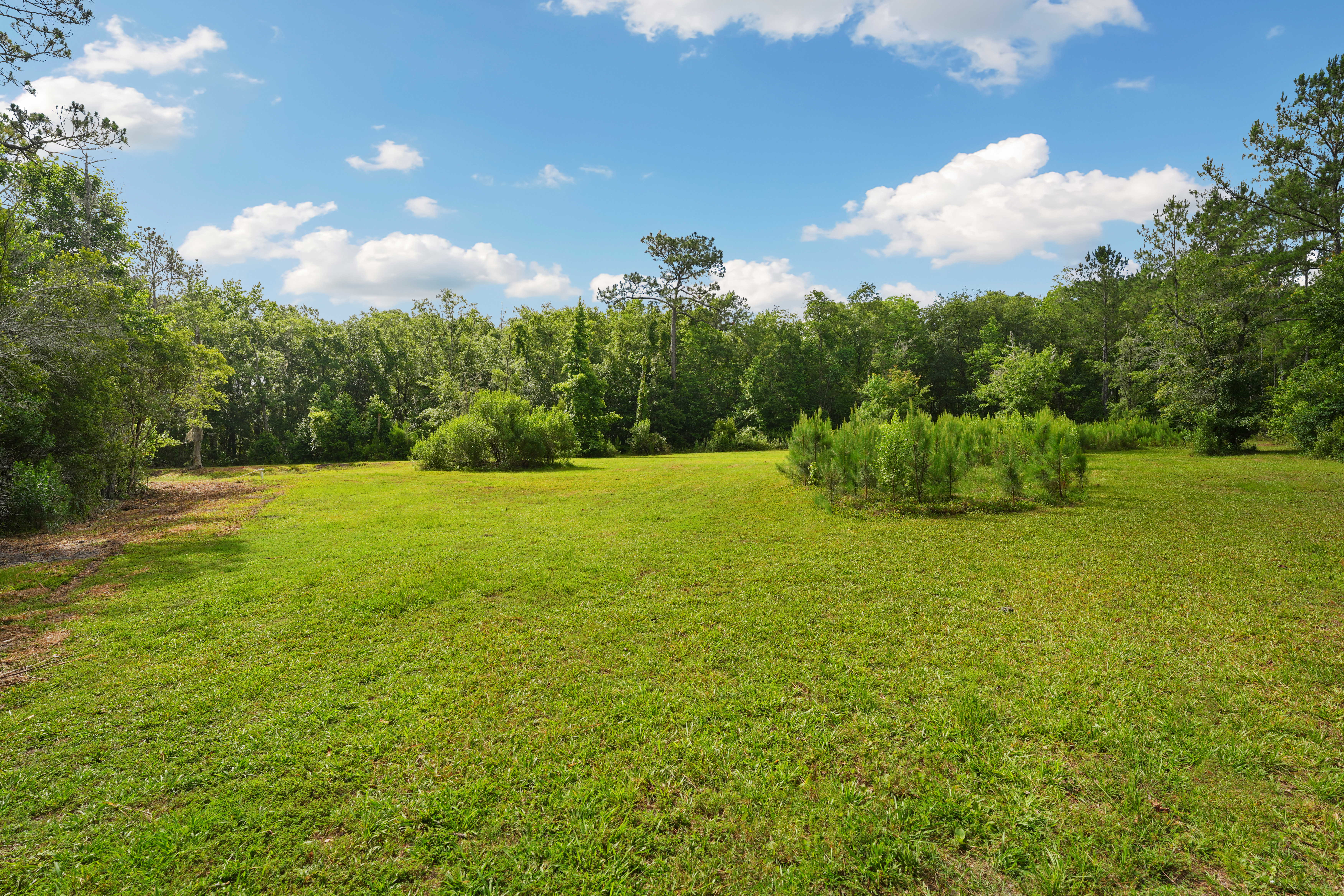  1805 Bennett Rd, St Augustine, FL, 32092 - 物件實景